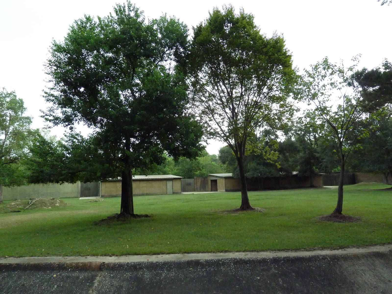 Baton Rouge Zoo - Hoofstock Exhibit (3 Species)