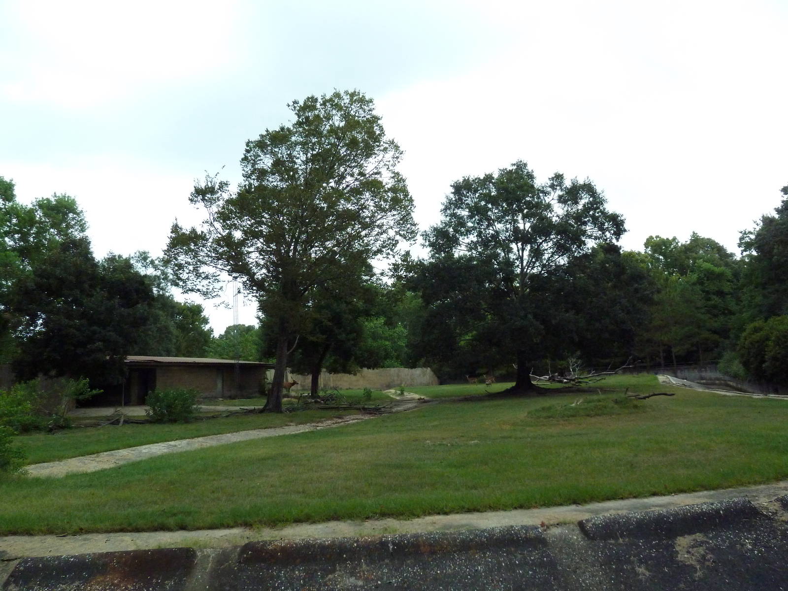 Baton Rouge Zoo - Impala/Bongo/Warthog Exhibit