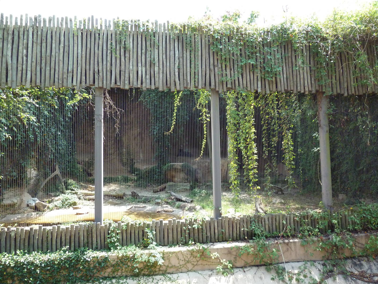 Baton Rouge Zoo - Jaguar Exhibit