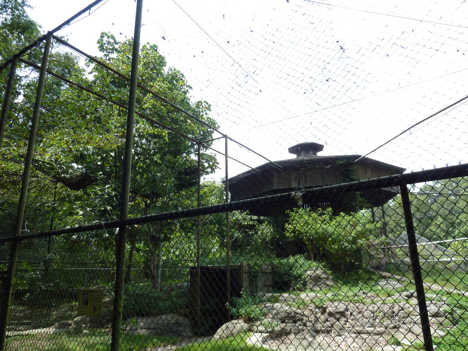 Baton Rouge Zoo - King Vulture Exhibit