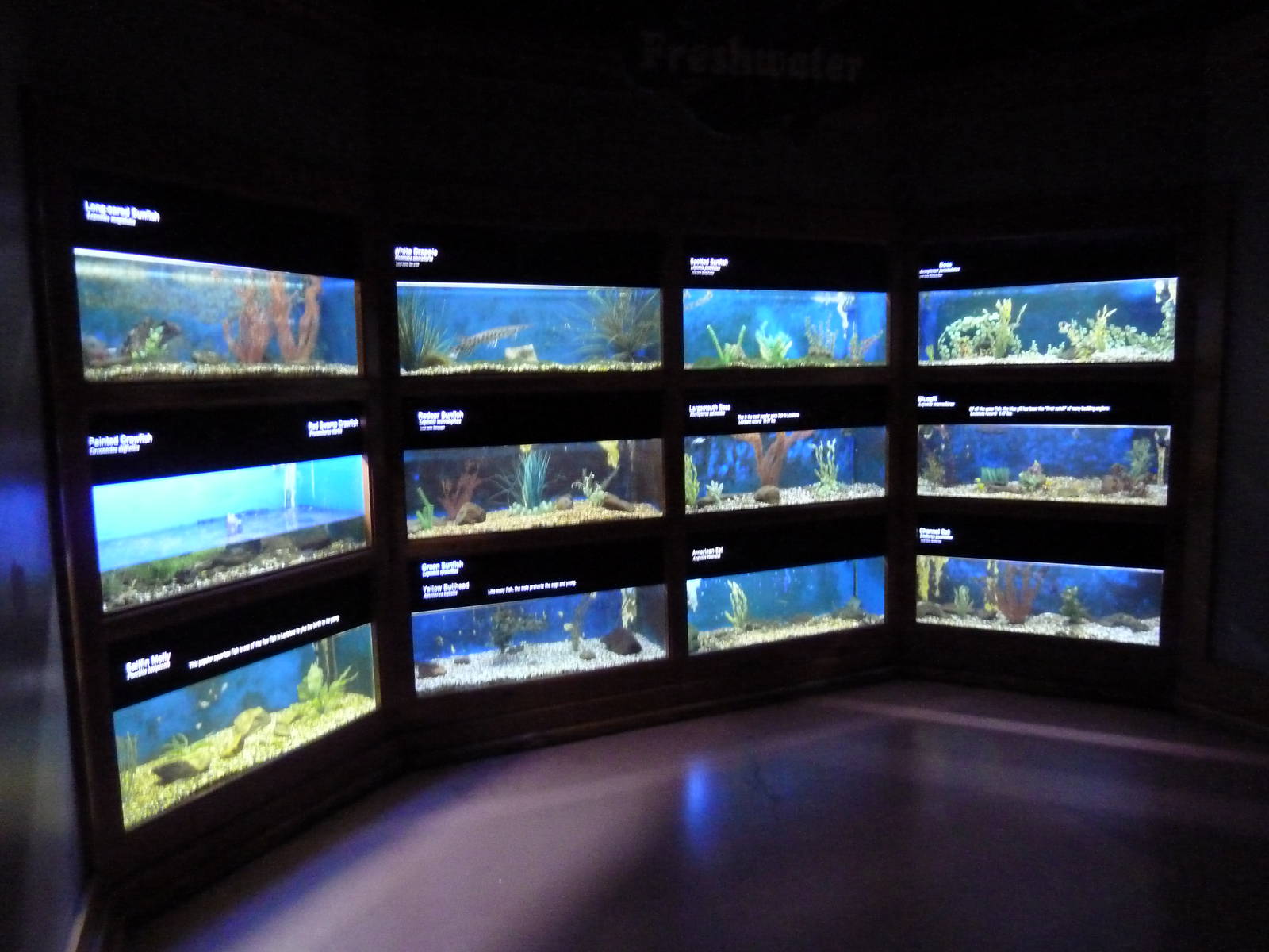 Baton Rouge Zoo - L'Aquarium De Louisiane