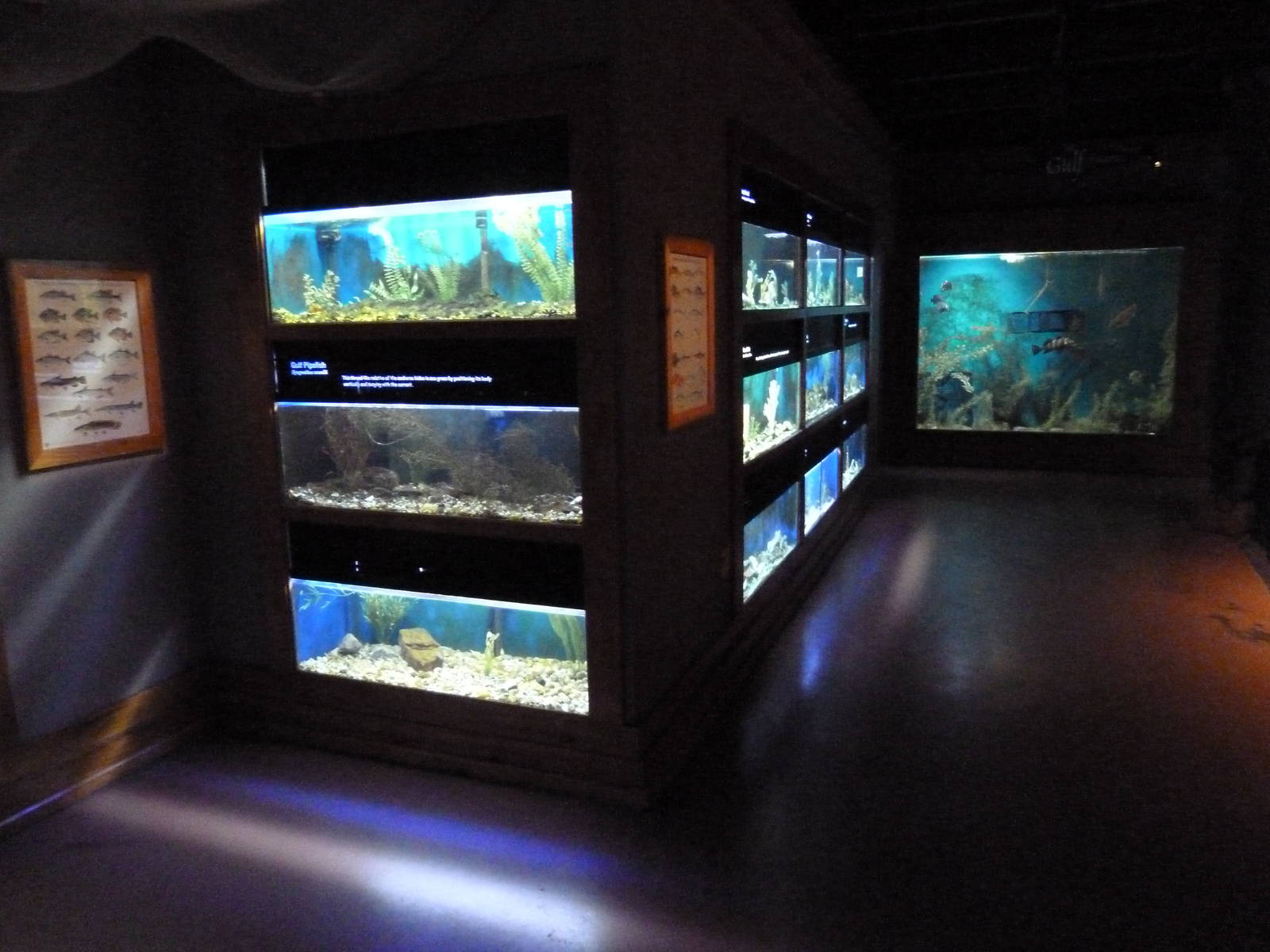 Baton Rouge Zoo - L'Aquarium De Louisiane