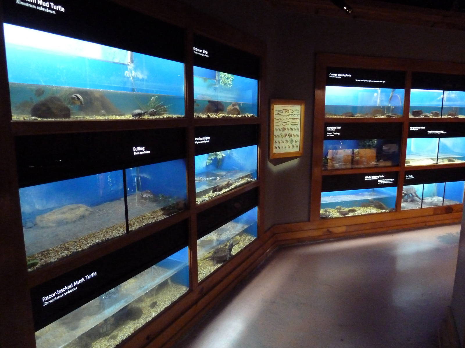 Baton Rouge Zoo - L'Aquarium De Louisiane