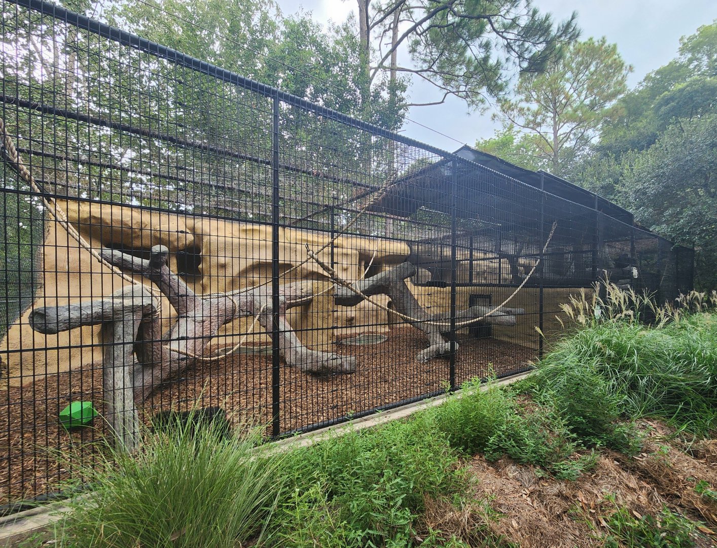 Baton Rouge Zoo - Macaque enclosures