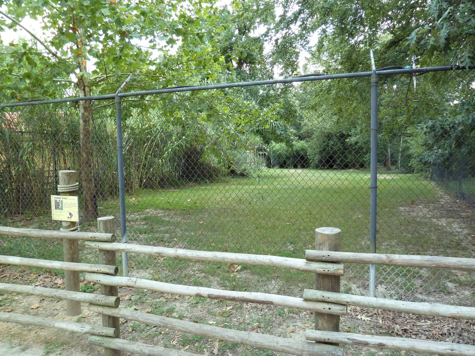 Baton Rouge Zoo - Maned Wolf Exhibit