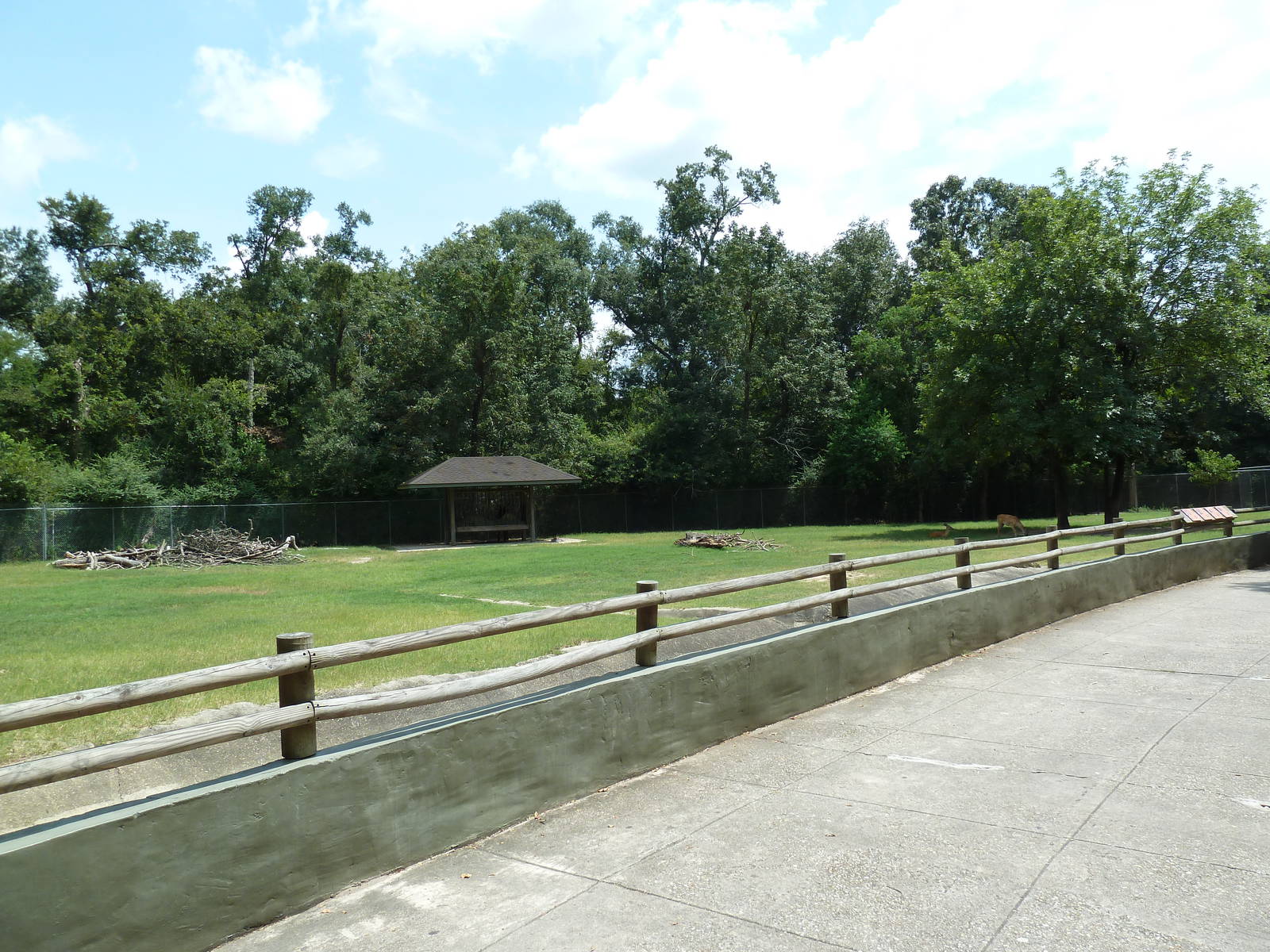 Baton Rouge Zoo - North American Exhibit (4 Species)