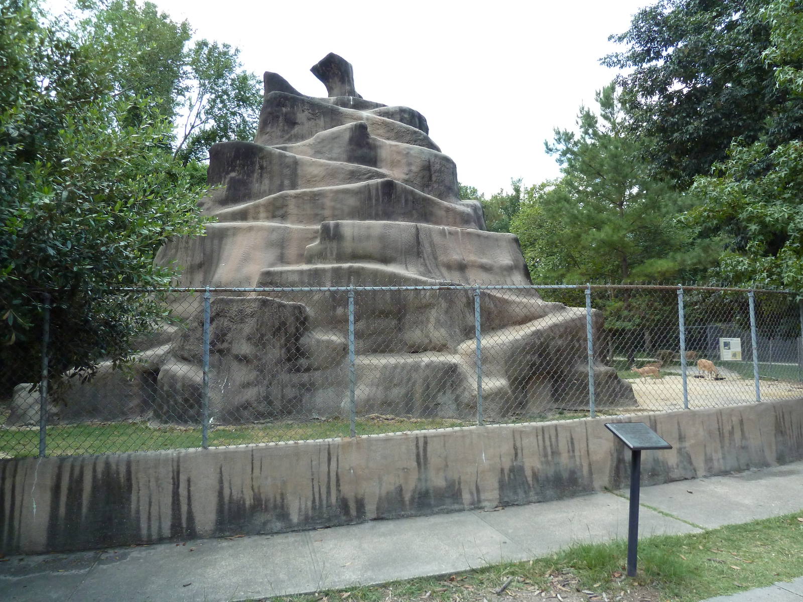 Baton Rouge Zoo - Nubian Ibex Exhibit