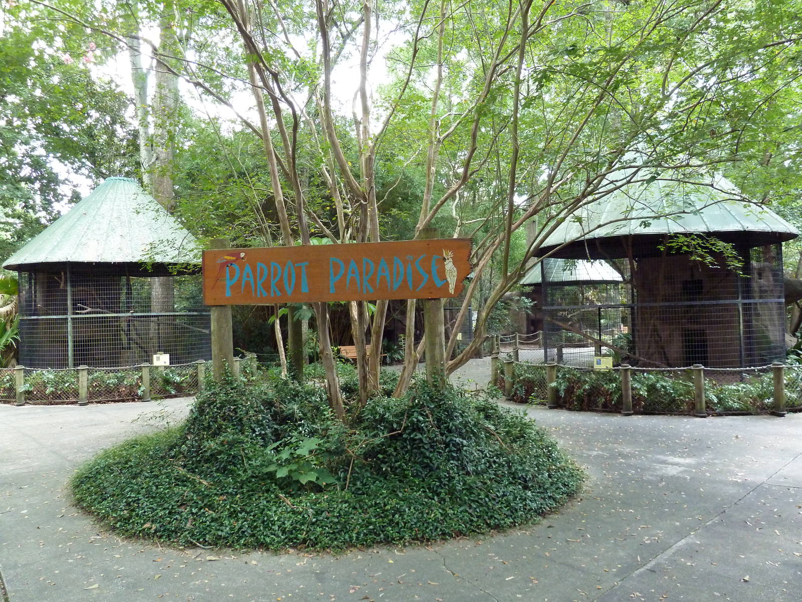 Baton Rouge Zoo - Parrot Paradise