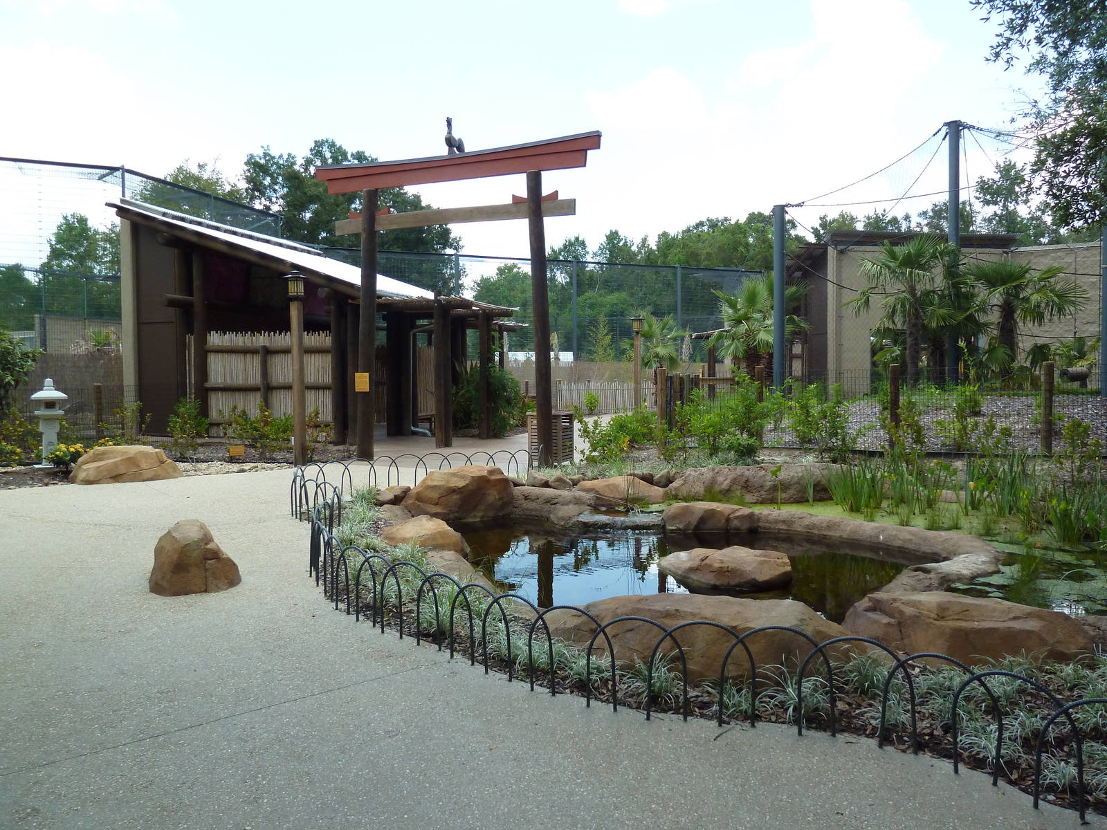 Baton Rouge Zoo - Realm Of The Tiger