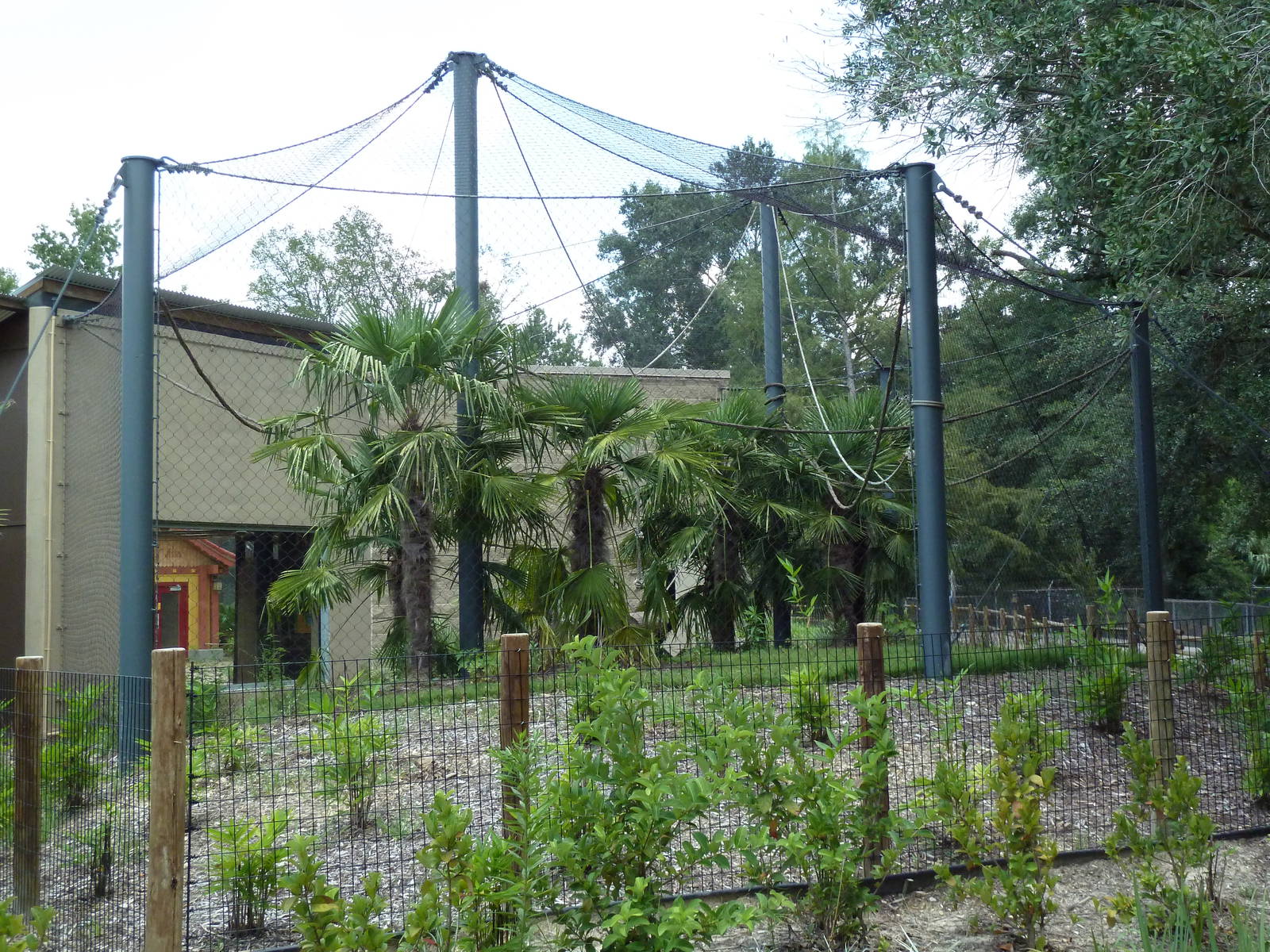 Baton Rouge Zoo - Realm Of The Tiger