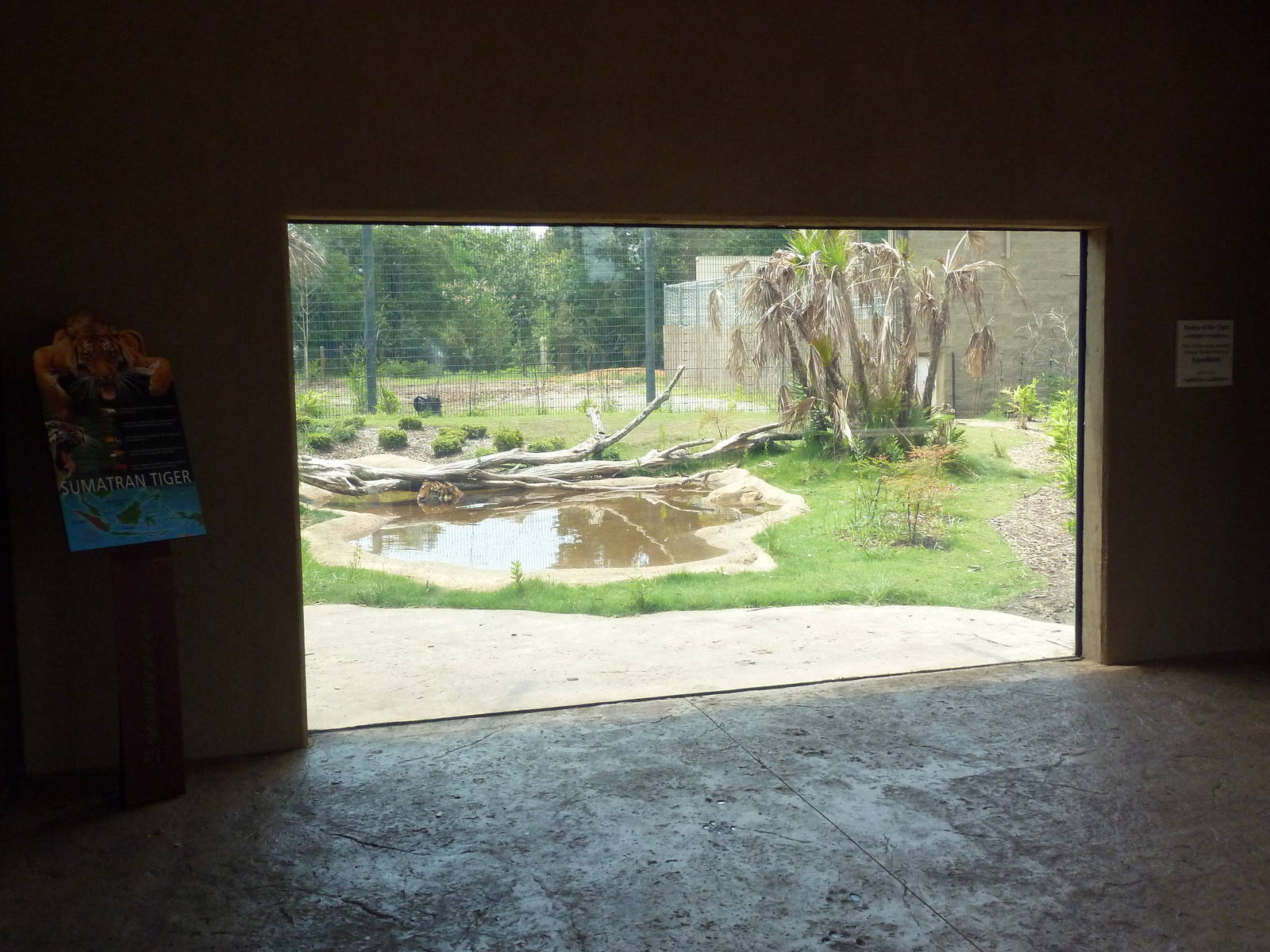 Baton Rouge Zoo - Realm Of The Tiger