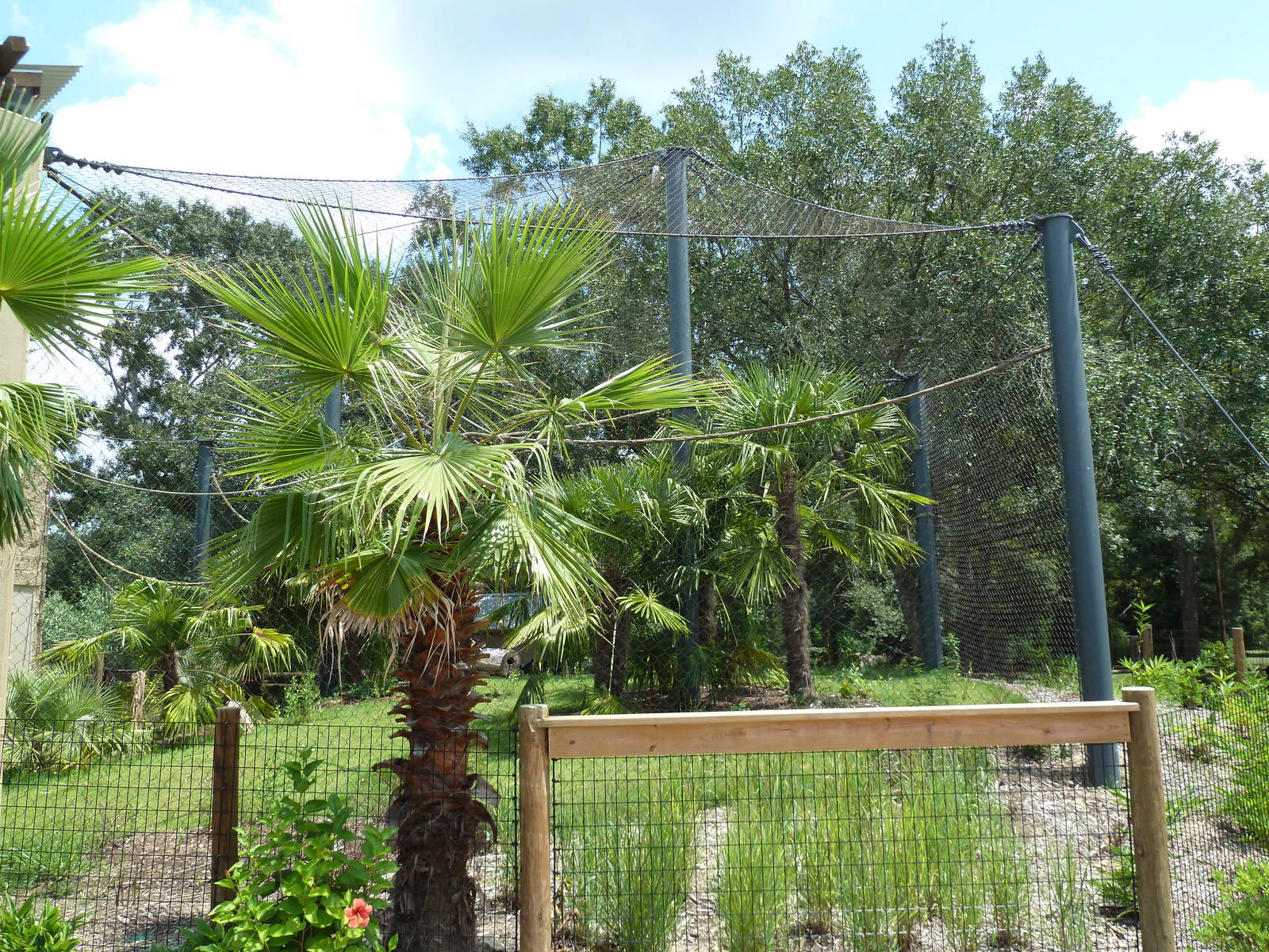 Baton Rouge Zoo - Realm Of The Tiger