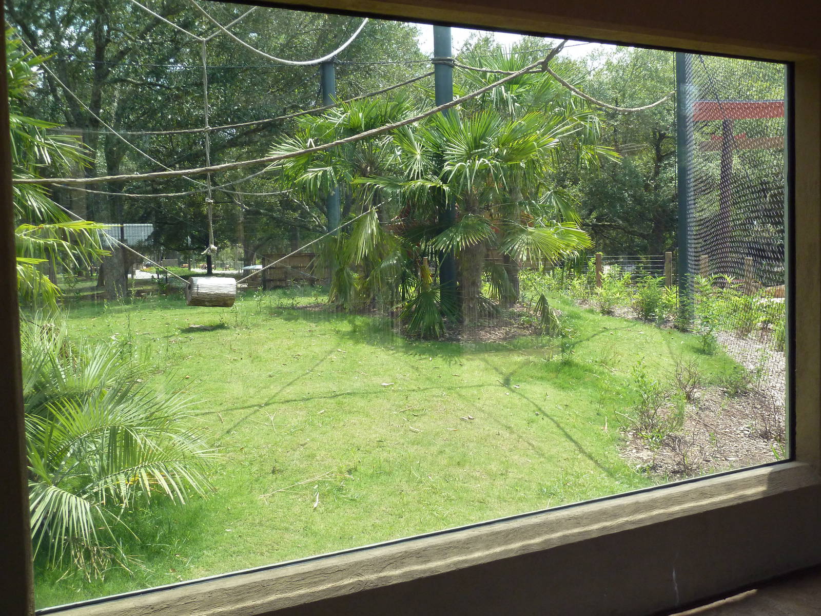 Baton Rouge Zoo - Realm Of The Tiger