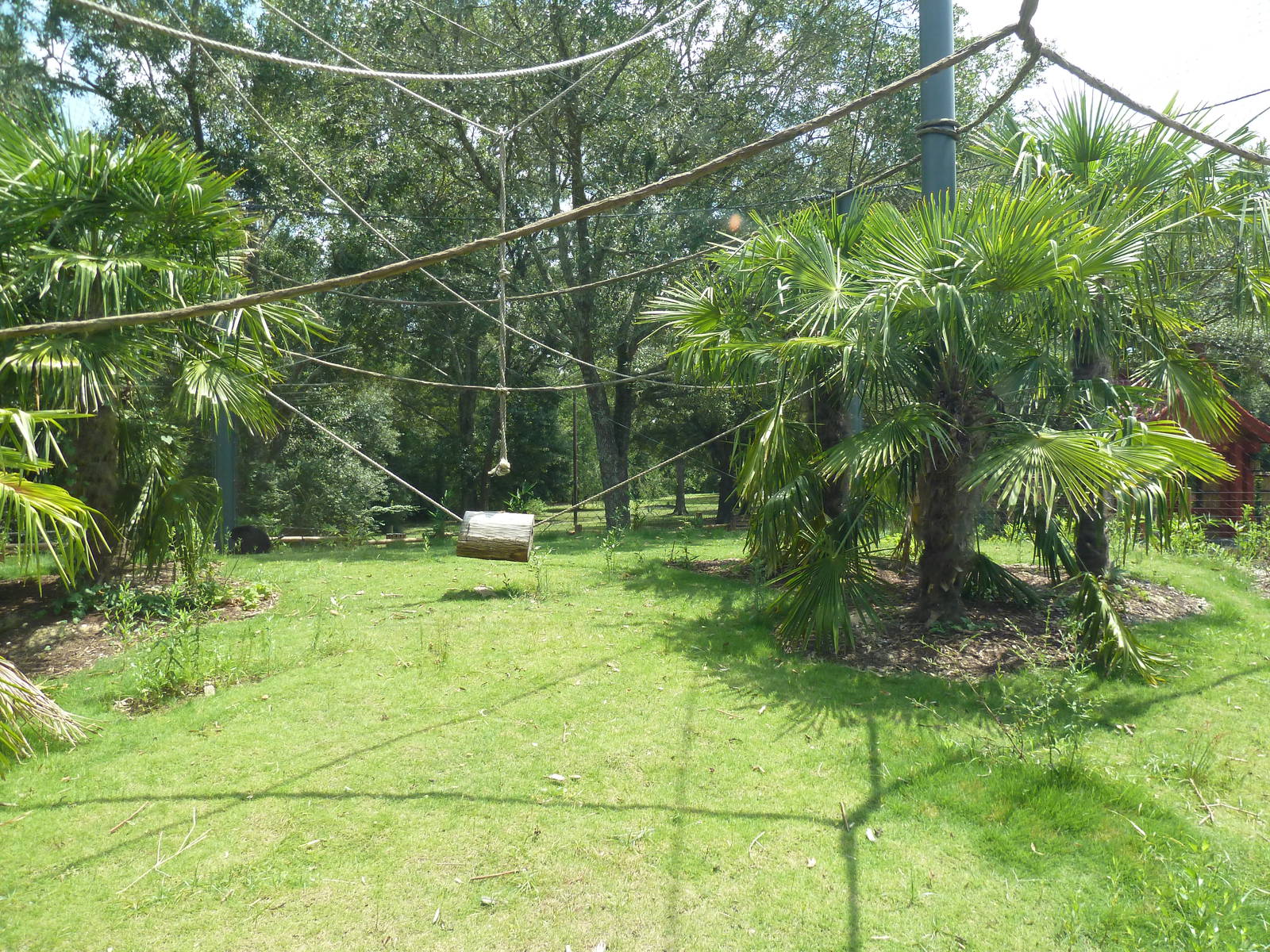 Baton Rouge Zoo - Realm Of The Tiger