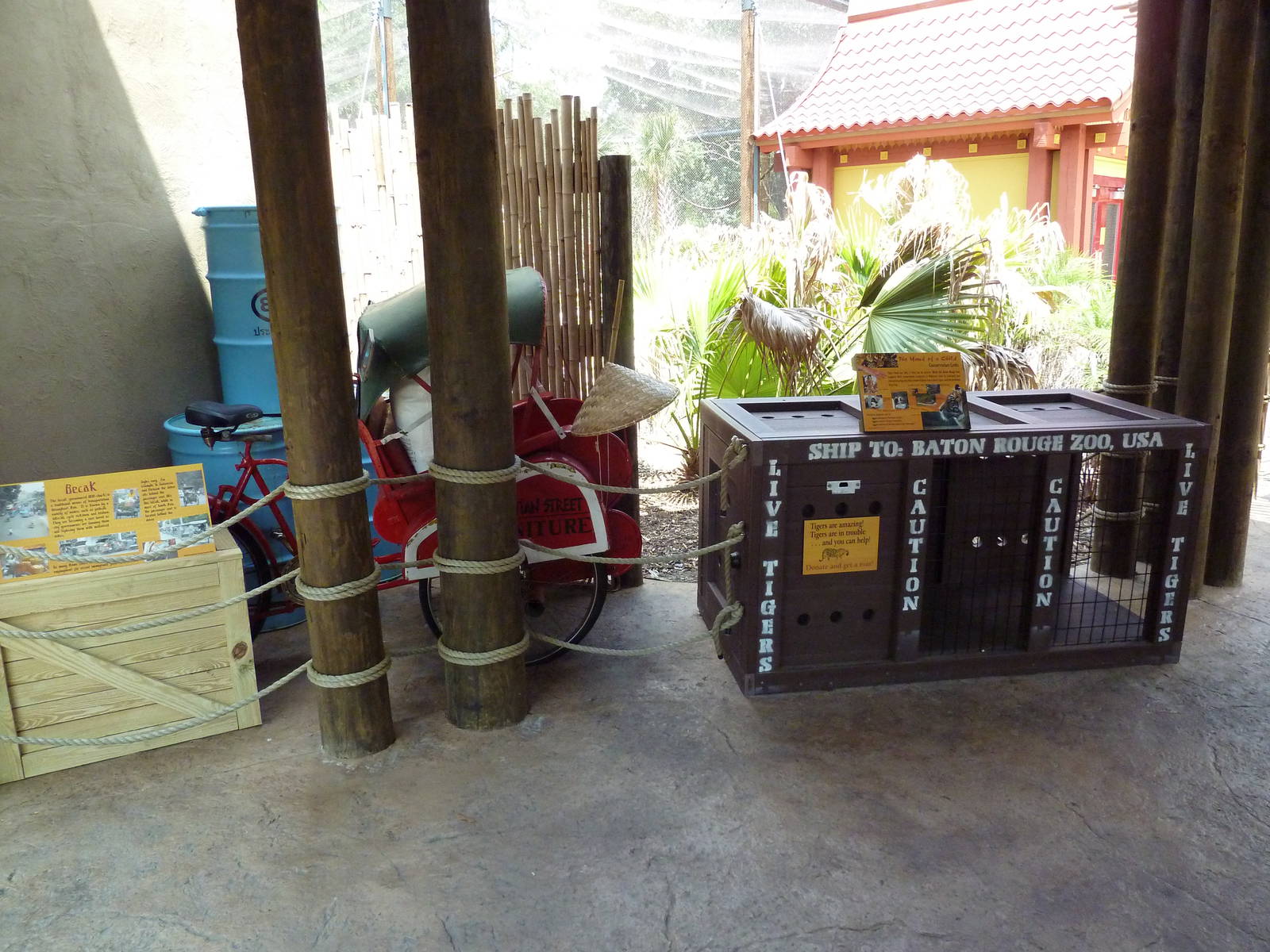 Baton Rouge Zoo - Realm Of The Tiger