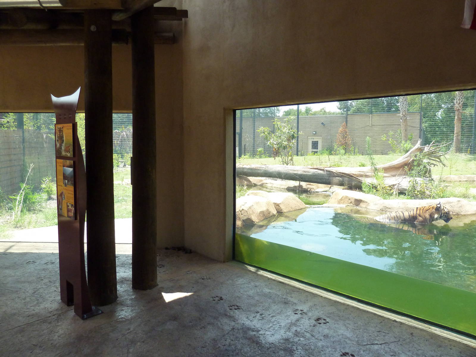 Baton Rouge Zoo - Realm Of The Tiger