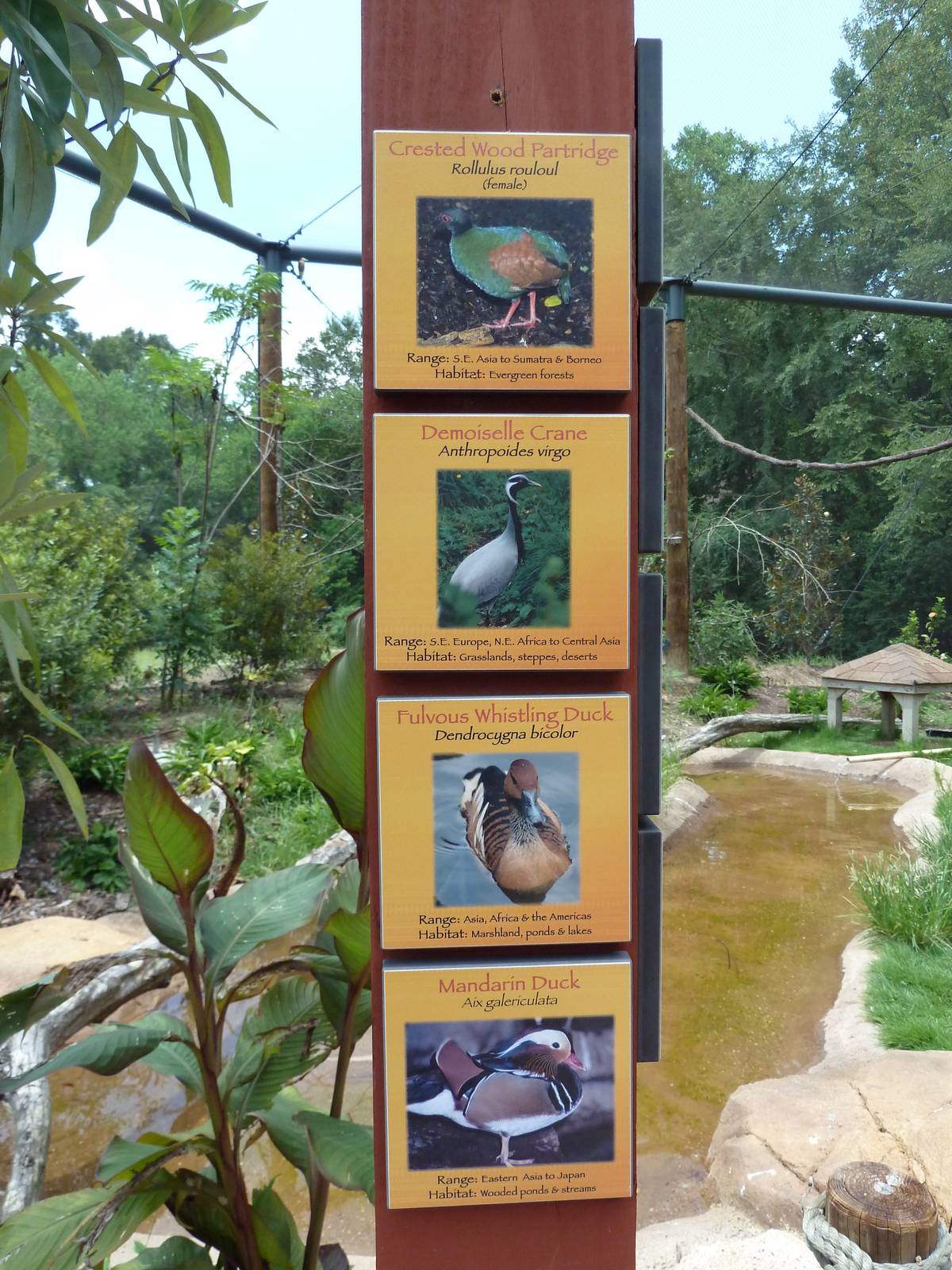 Baton Rouge Zoo - Realm Of The Tiger