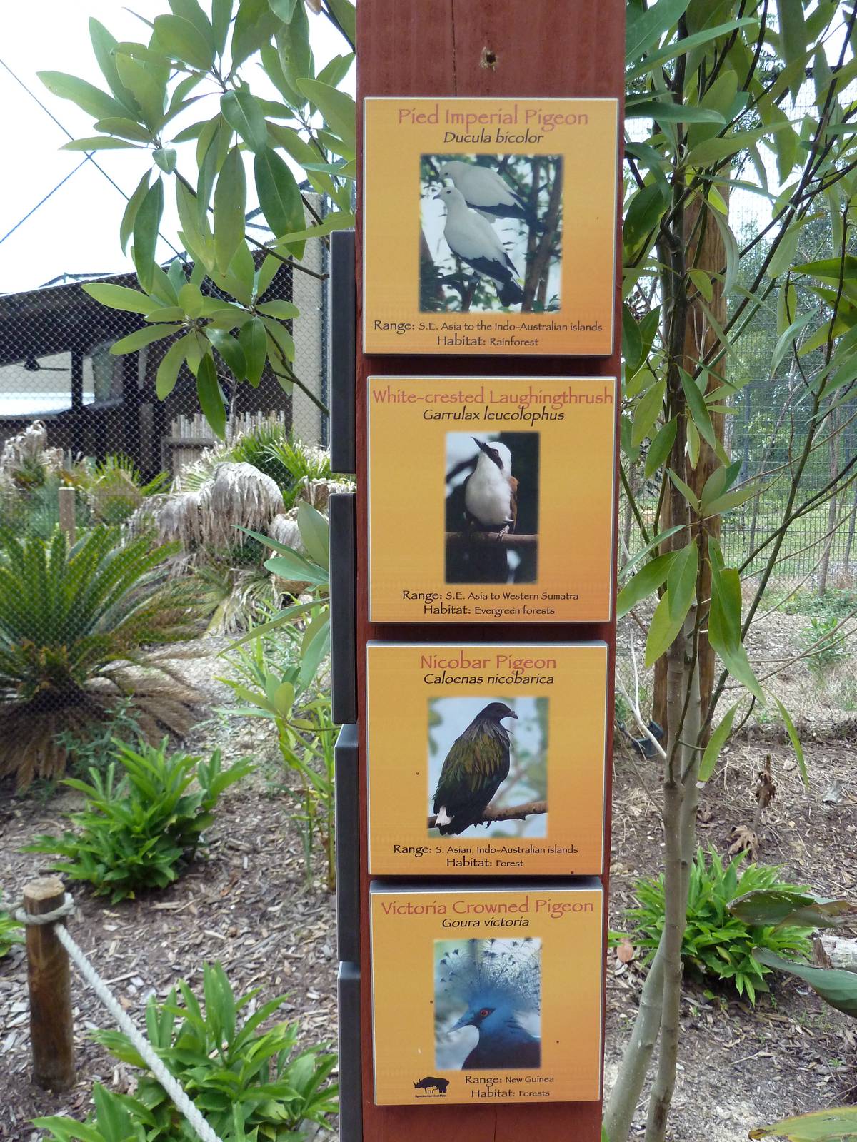 Baton Rouge Zoo - Realm Of The Tiger