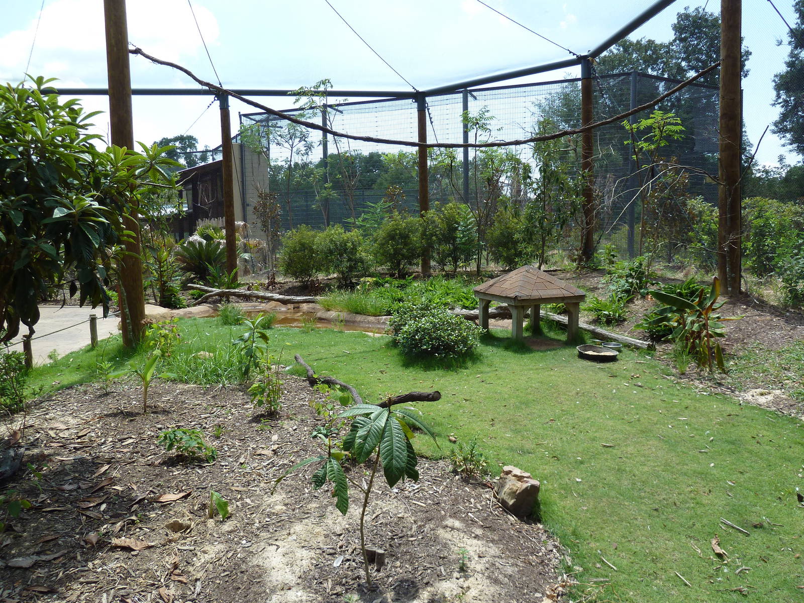 Baton Rouge Zoo - Realm Of The Tiger