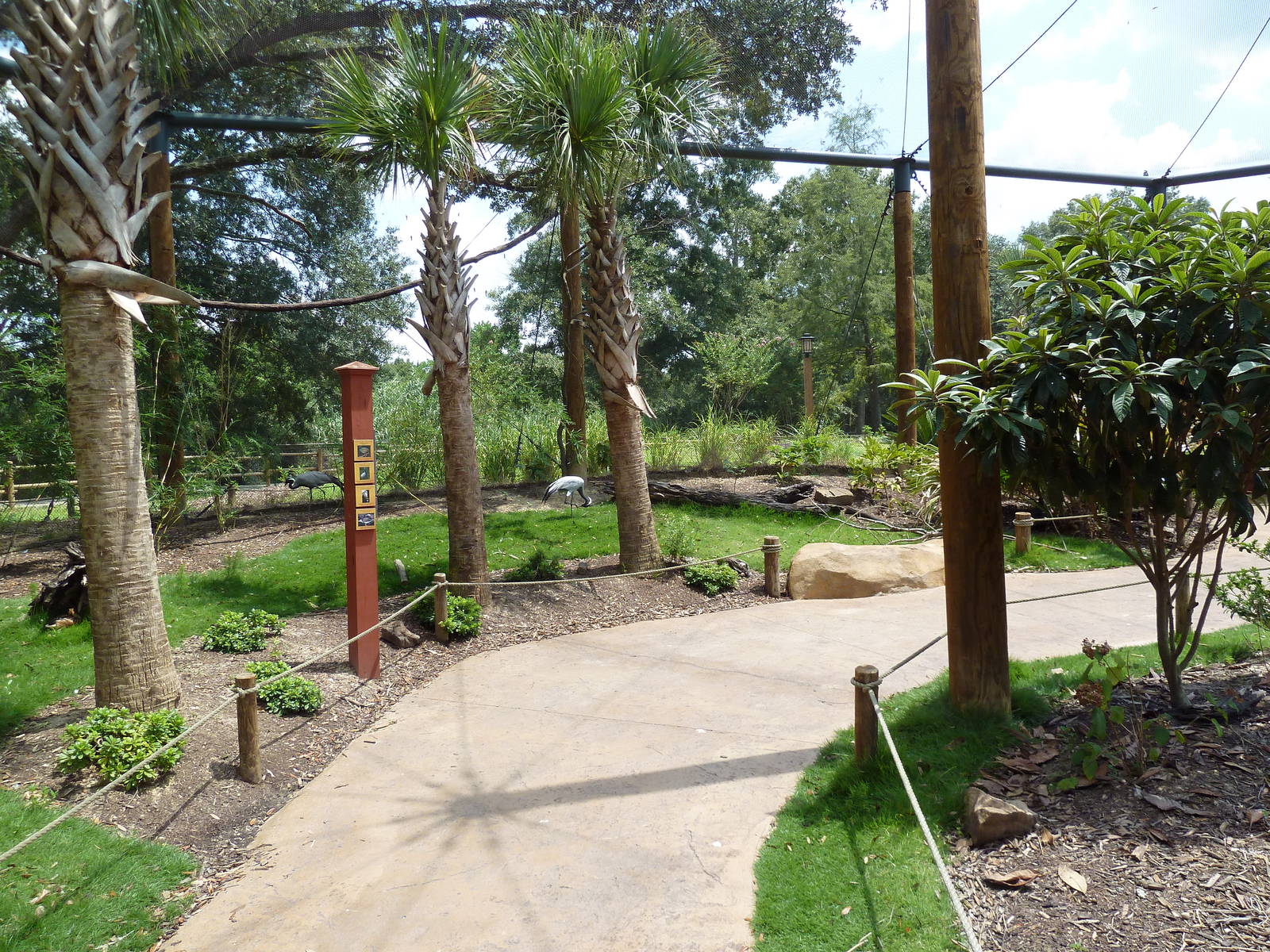 Baton Rouge Zoo - Realm Of The Tiger