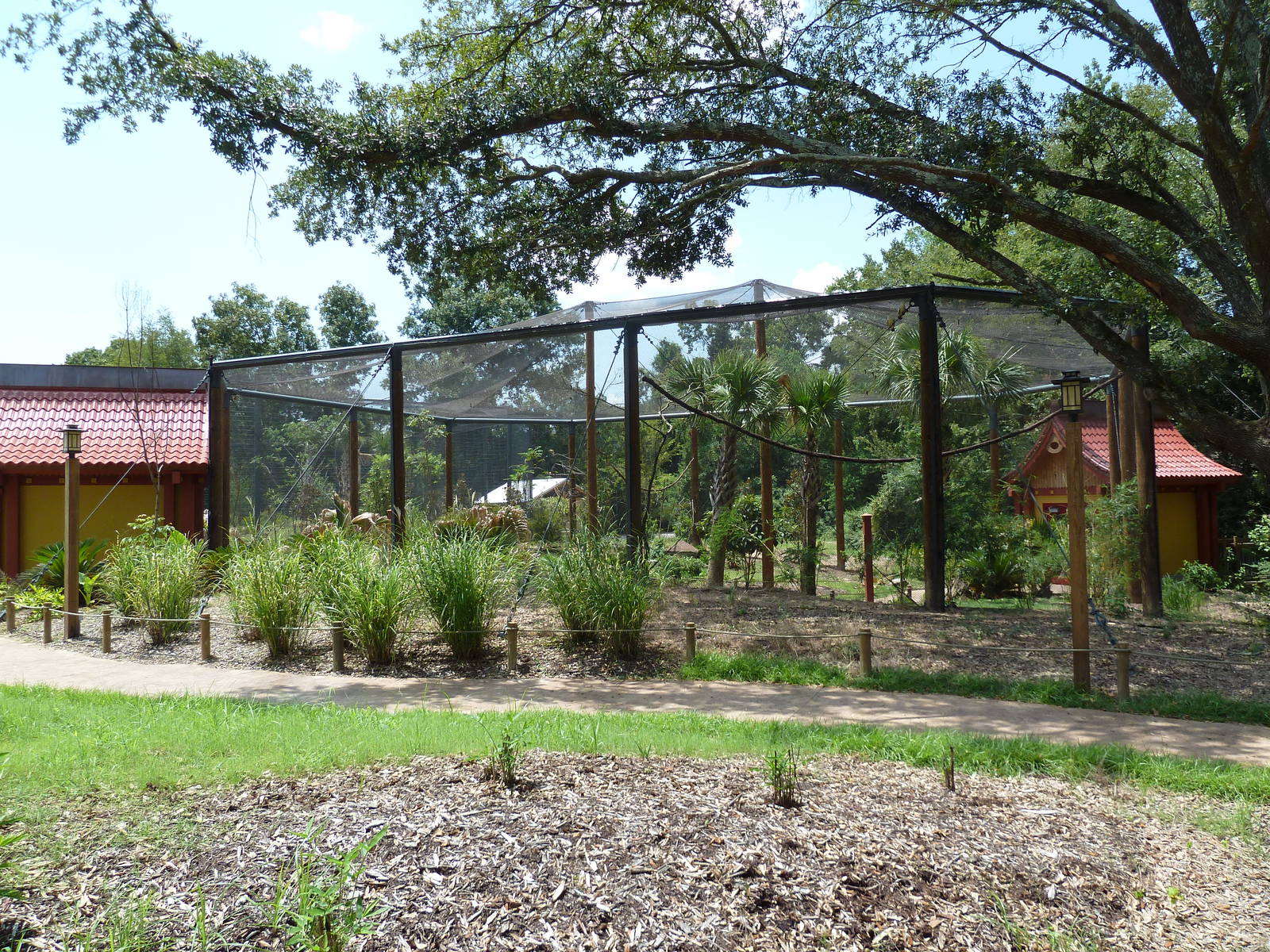 Baton Rouge Zoo - Realm Of The Tiger