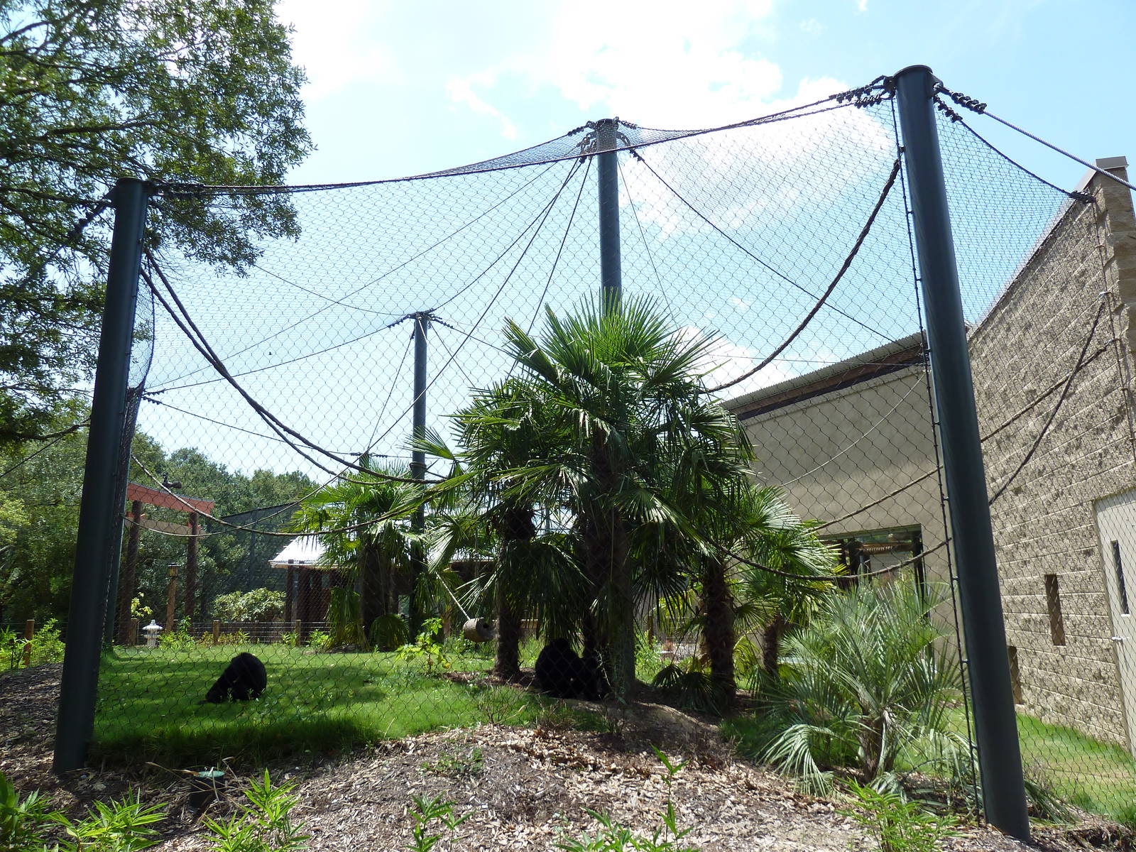 Baton Rouge Zoo - Realm Of The Tiger