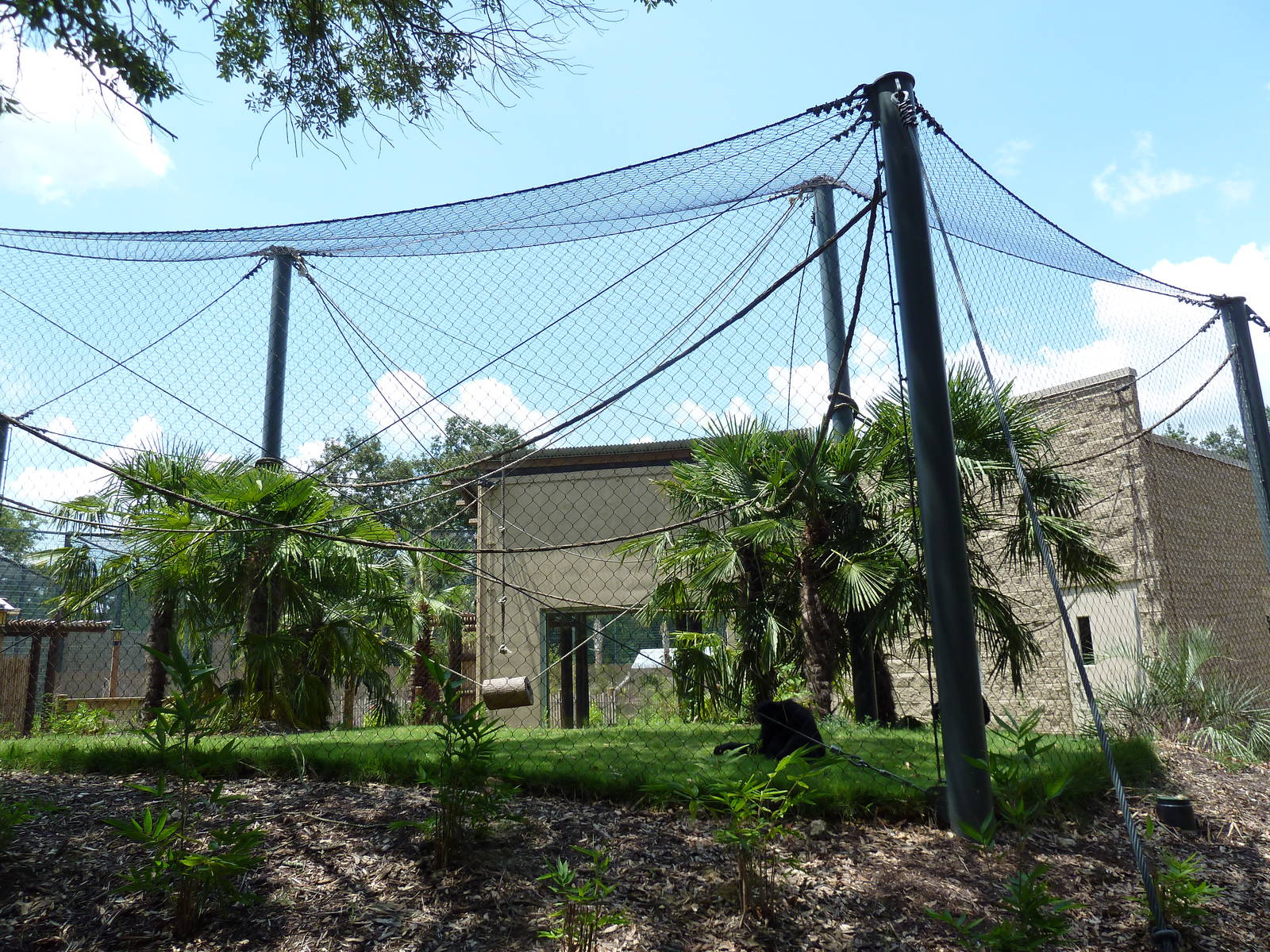 Baton Rouge Zoo - Realm Of The Tiger