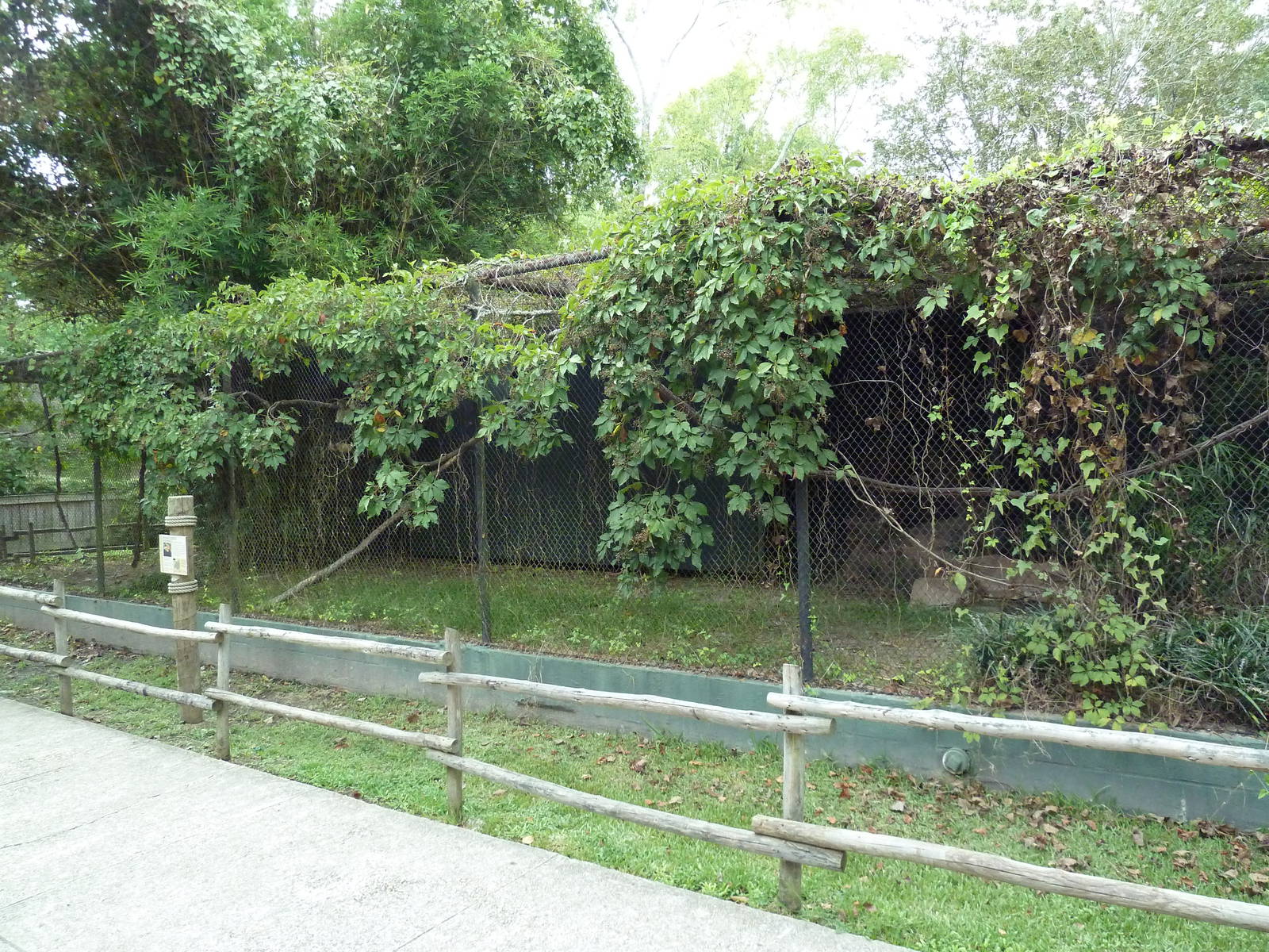 Baton Rouge Zoo - Rhinoceros Hornbill Exhibit