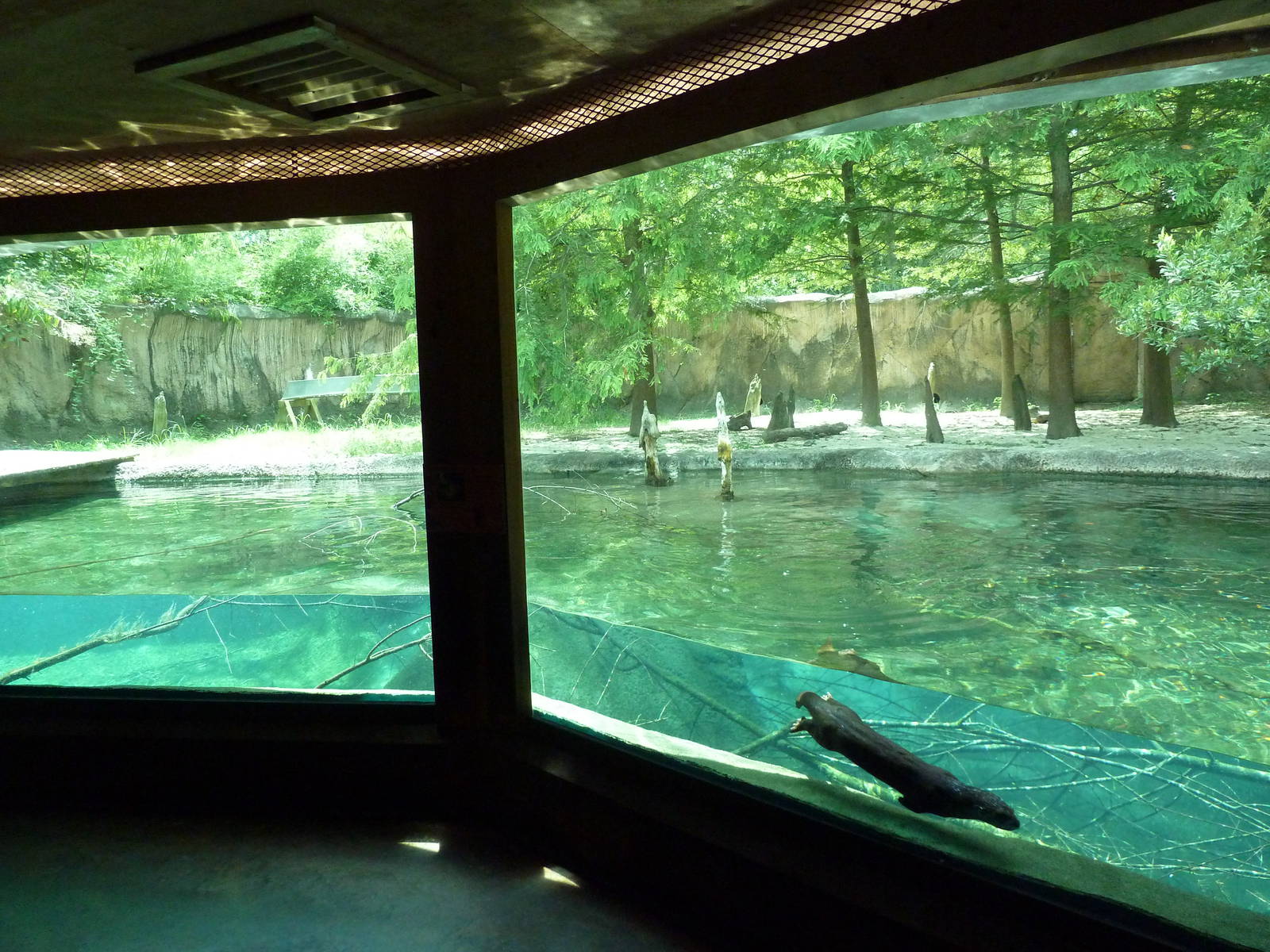 Baton Rouge Zoo - River Otter Exhibit