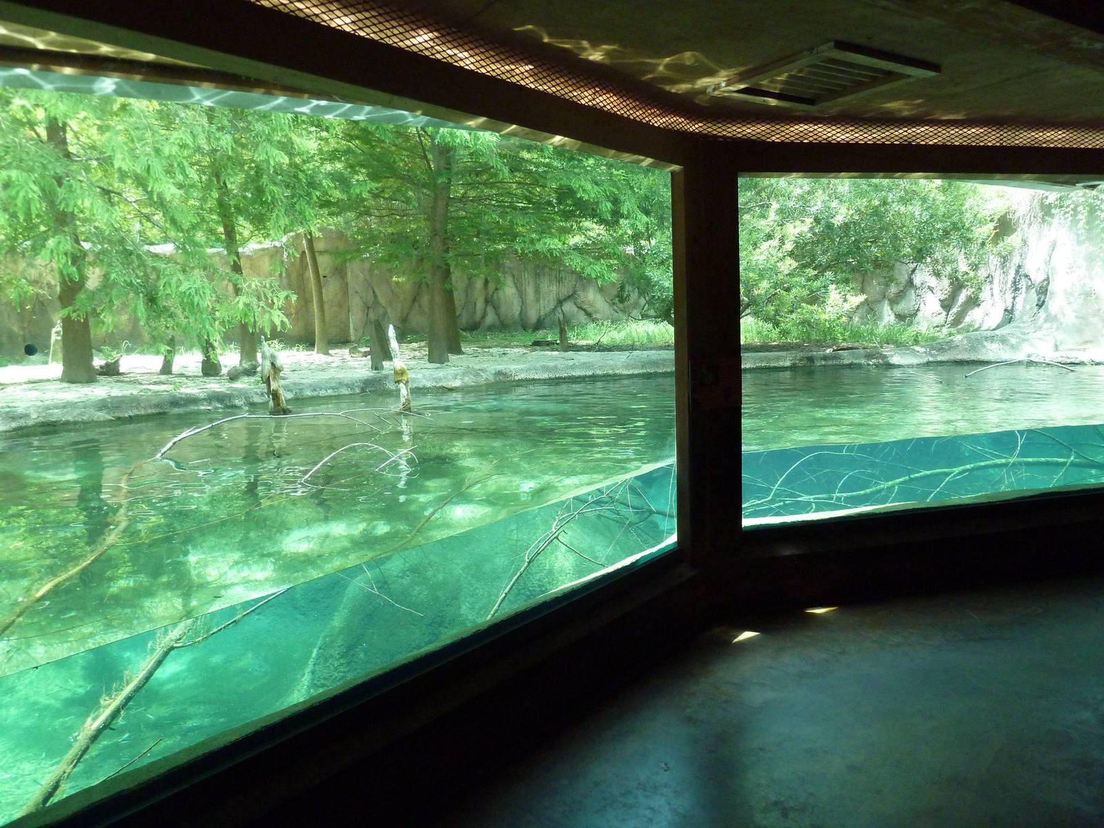 Baton Rouge Zoo - River Otter Exhibit