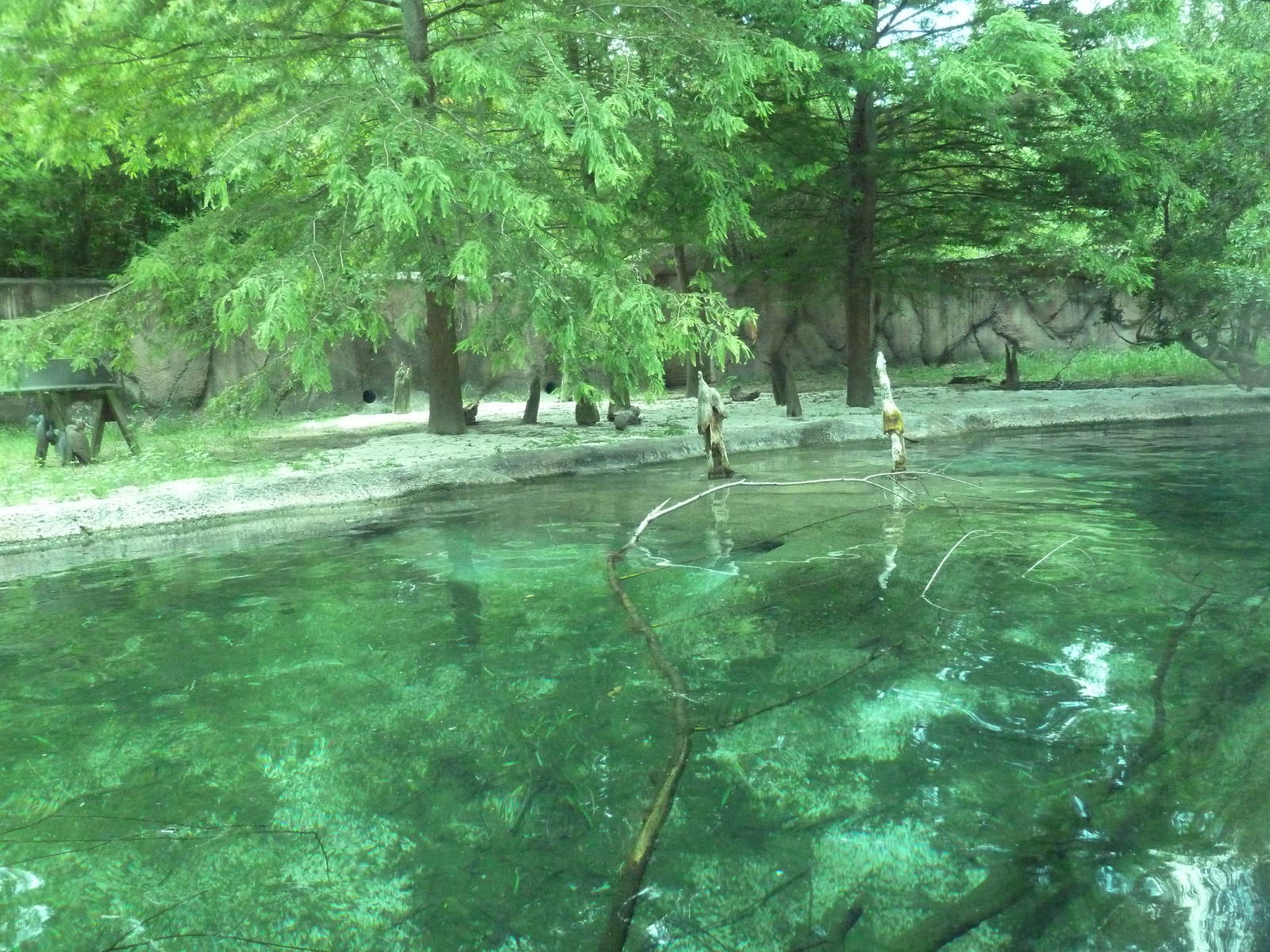 Baton Rouge Zoo - River Otter Exhibit