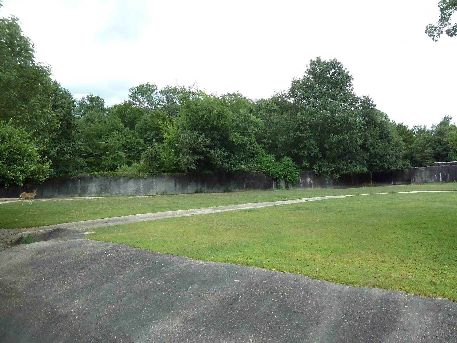 Baton Rouge Zoo - Roan Antelope/Nile Lechwe Exhibit