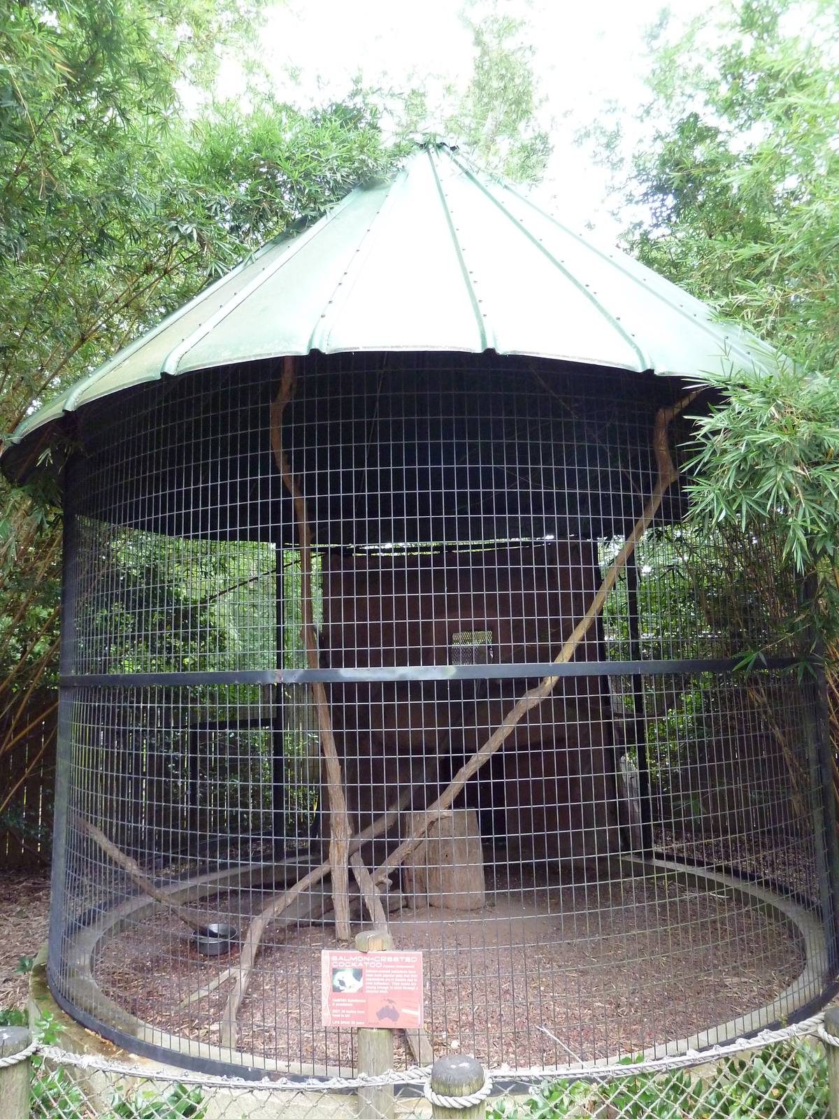 Baton Rouge Zoo - Salmon-Crested Cockatoo Corn-Crib Cage
