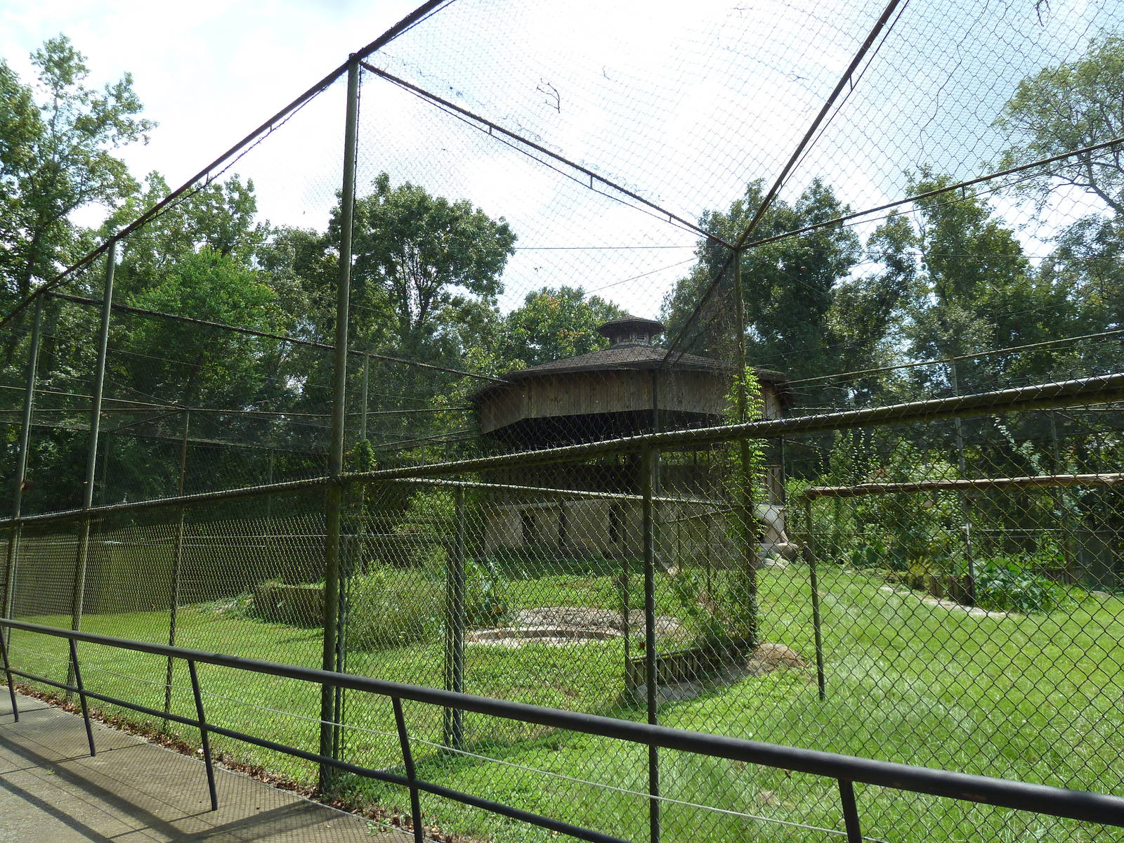 Baton Rouge Zoo - Secretary Bird Exhibit