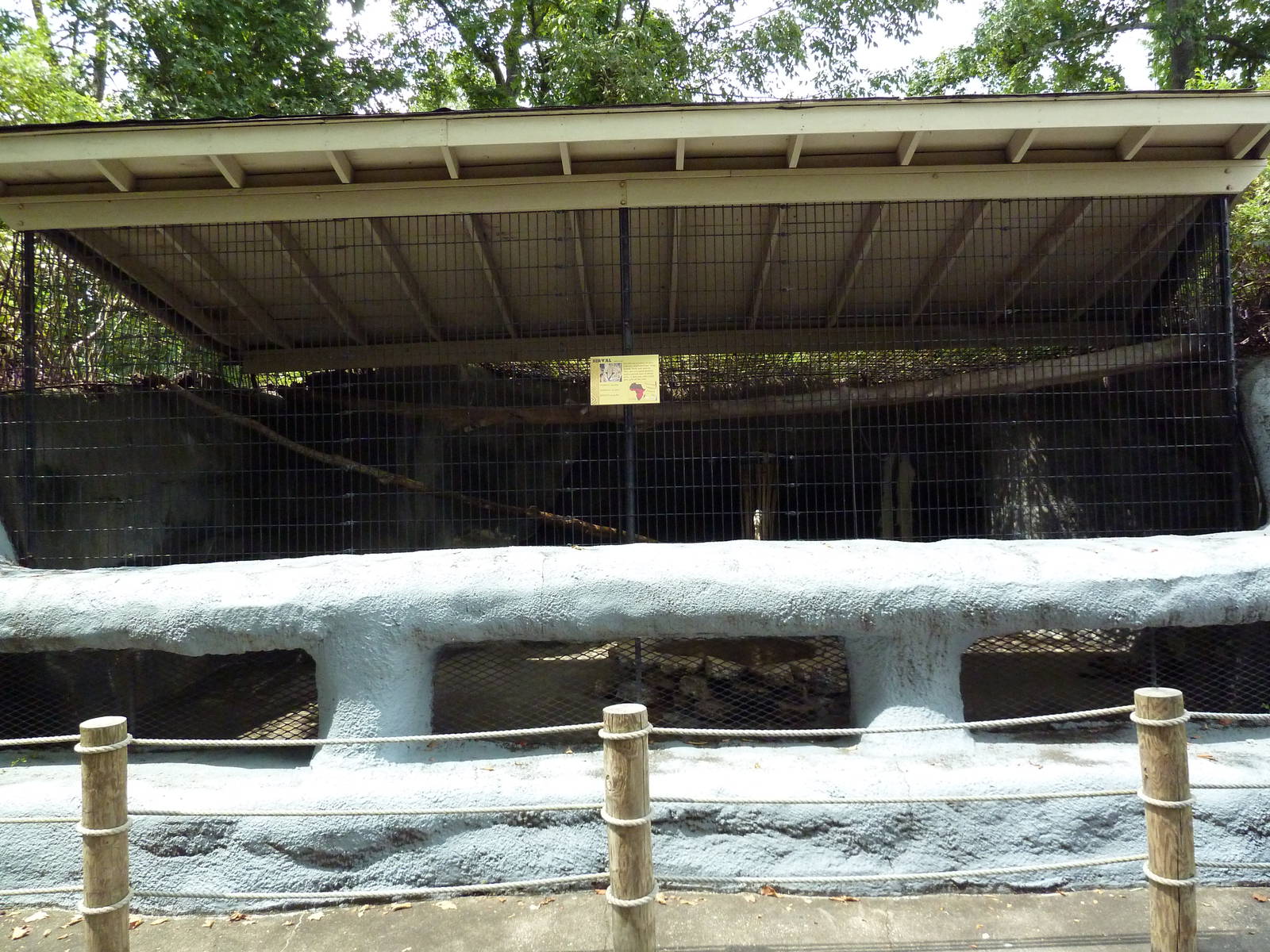 Baton Rouge Zoo - Serval Exhibit