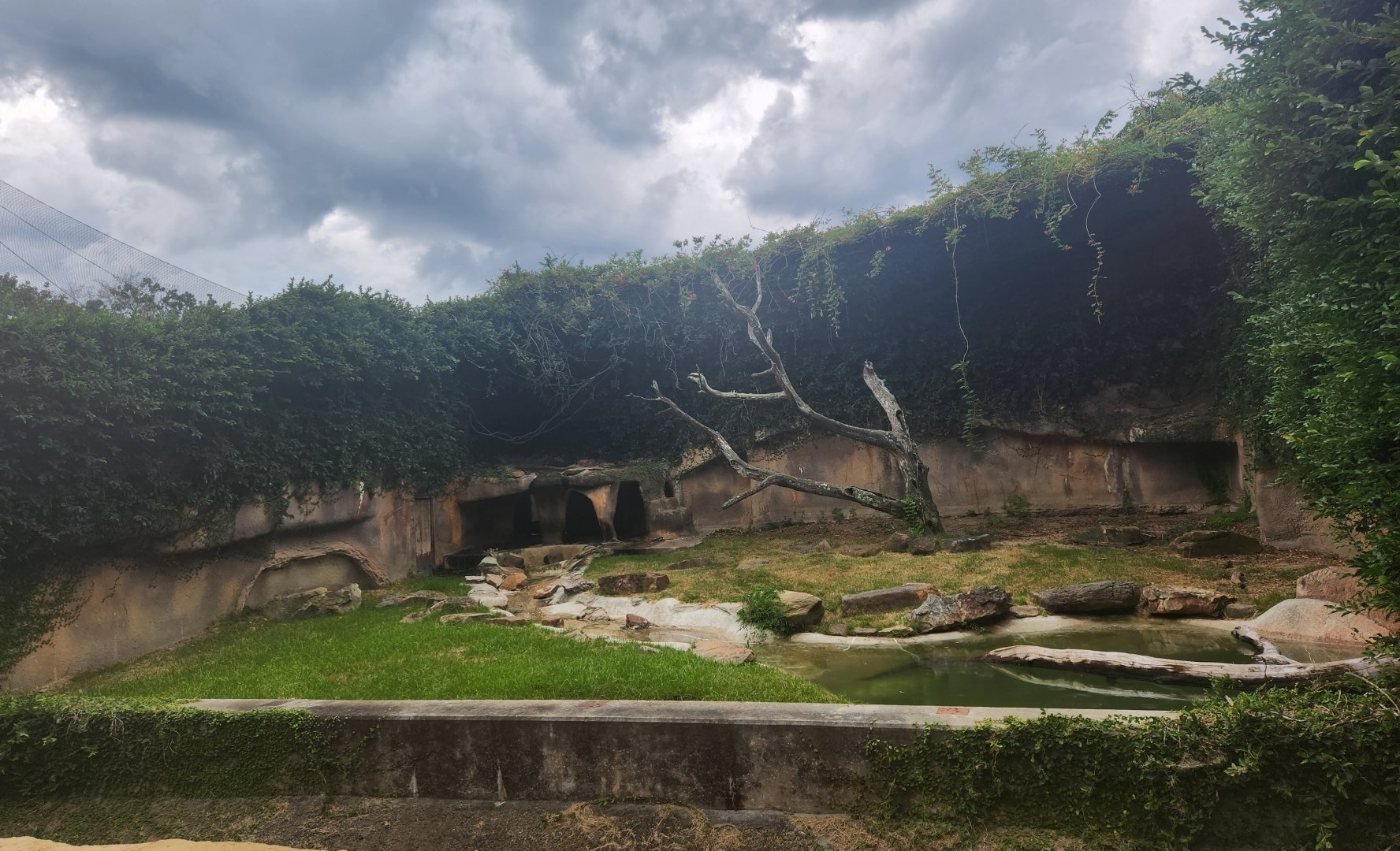 Baton Rouge Zoo - Spectacled Bear enclosure