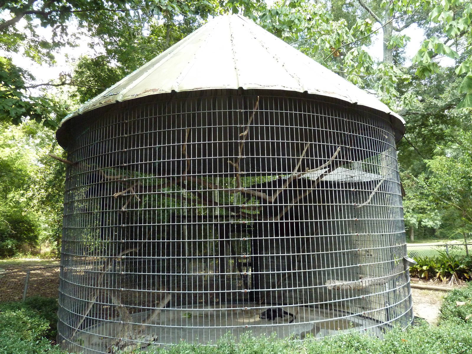 Baton Rouge Zoo - Spot-Nosed Guenon Cage