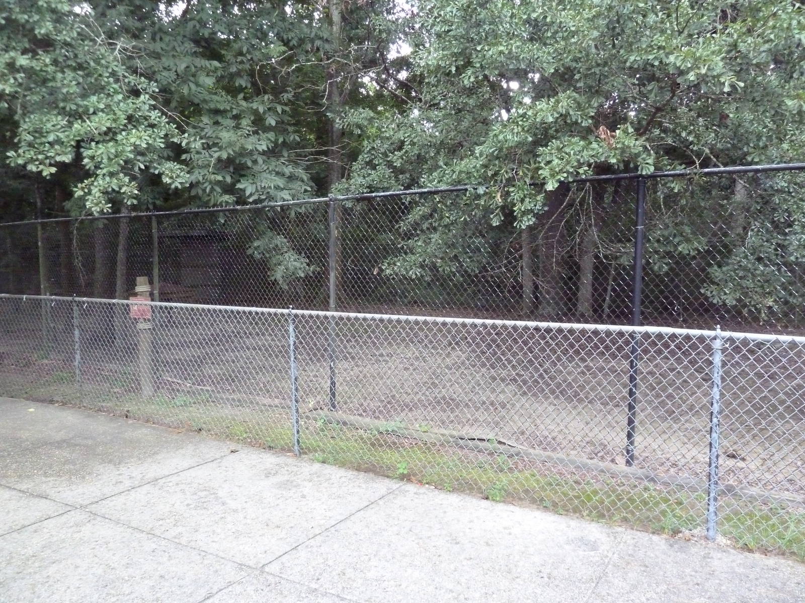 Baton Rouge Zoo - Wallaroo Exhibit