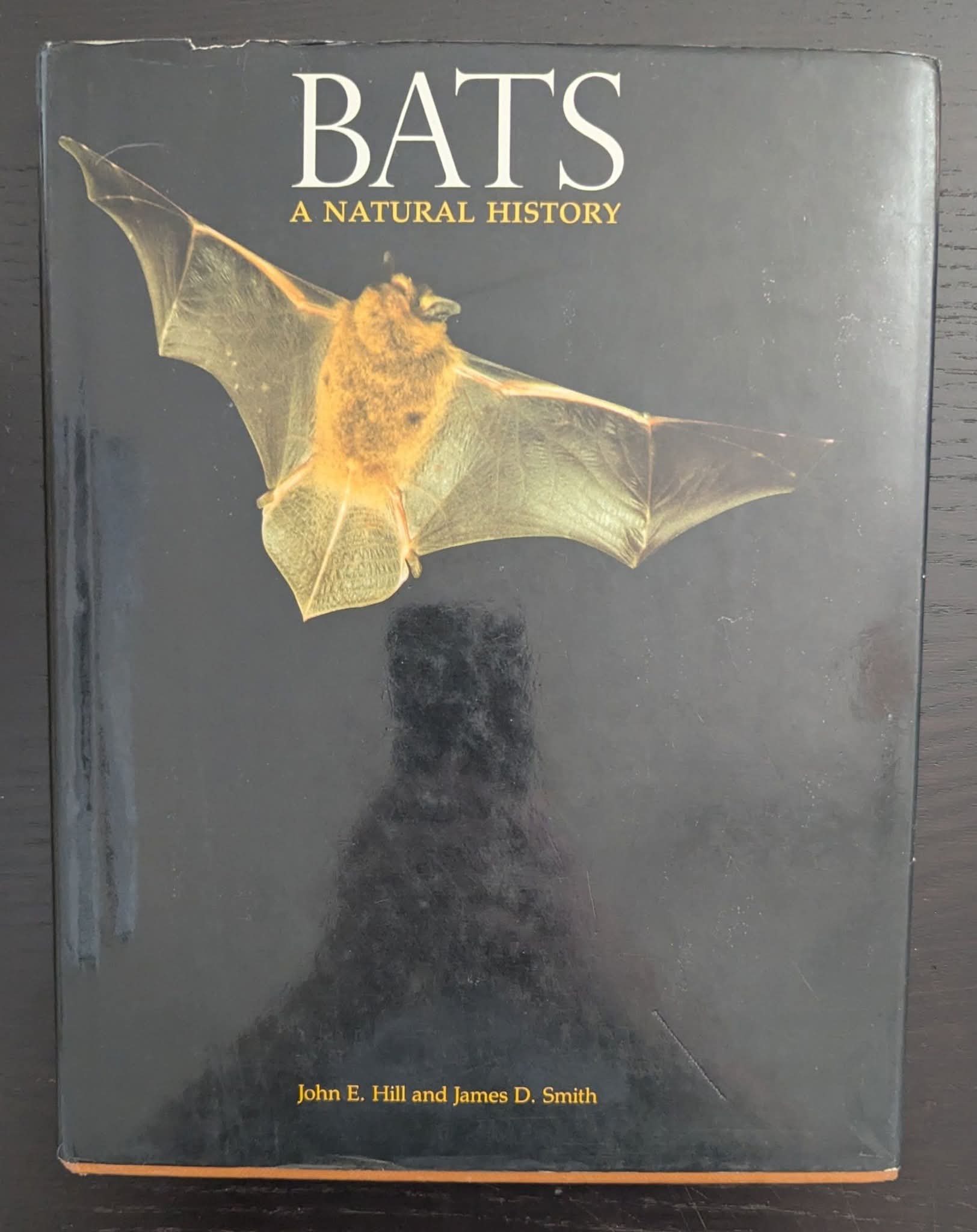 Bats: A Natural History
