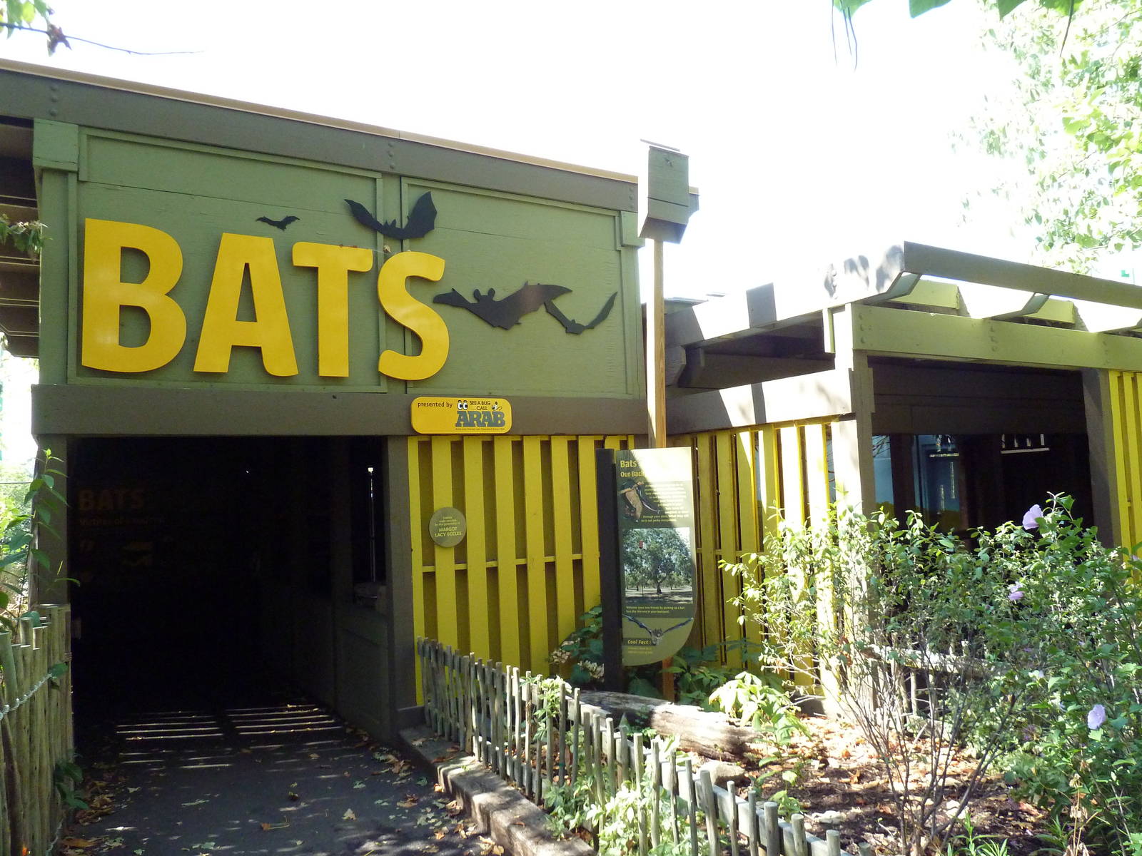 Bats Building