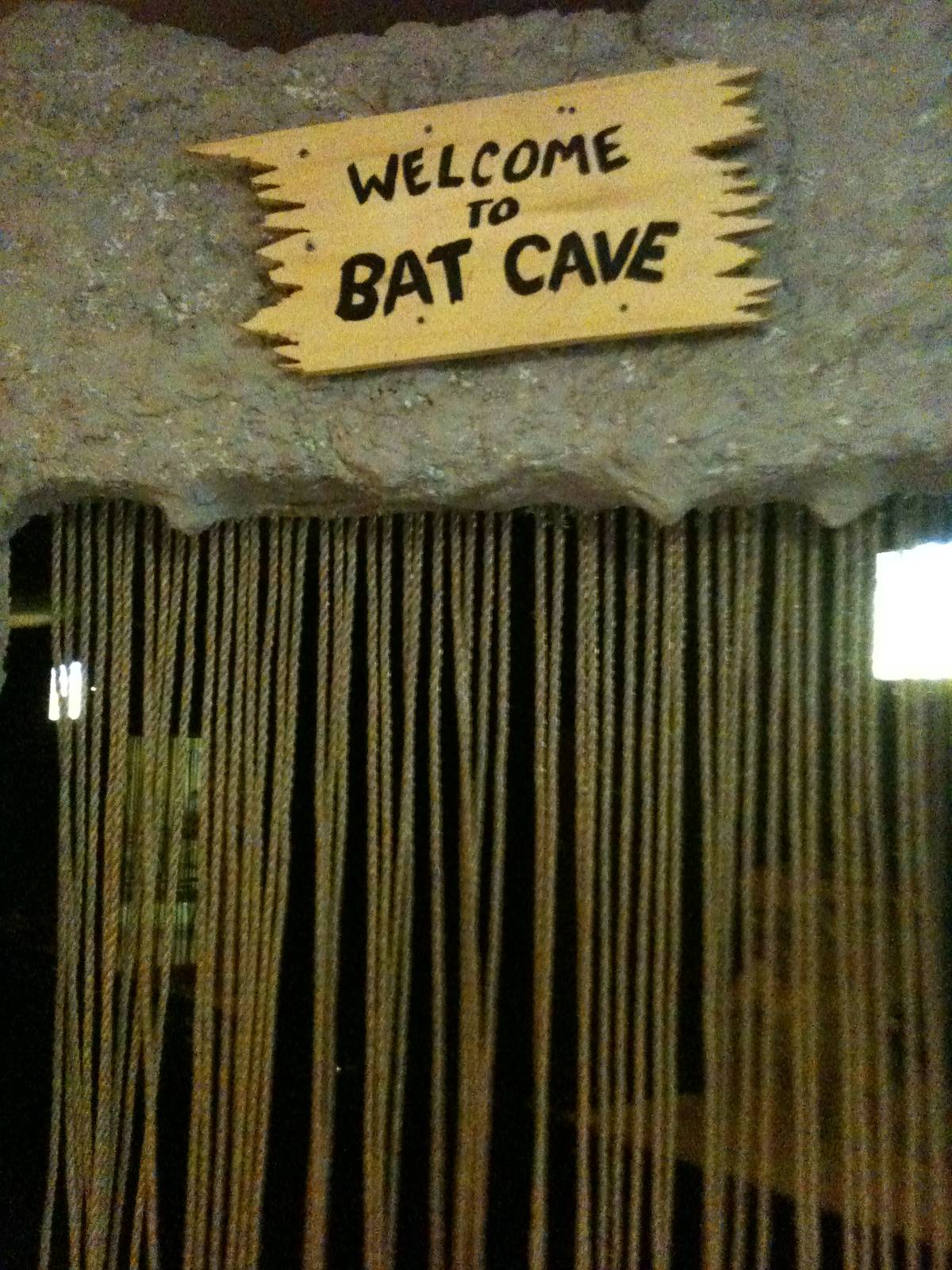 Bats- Flying Fox and Spear-Nosed Bats