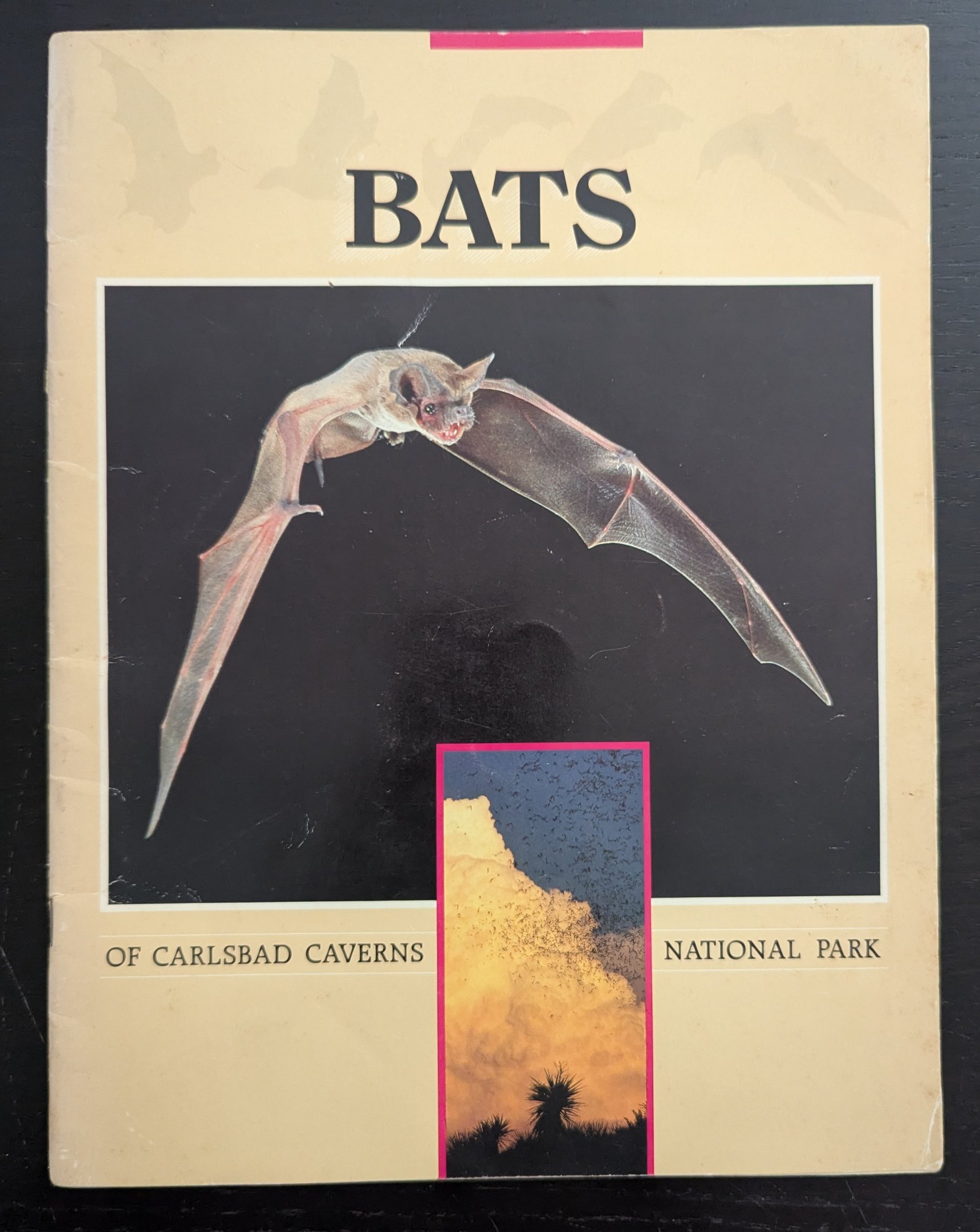 Bats of Carlsbad Caverns National Park