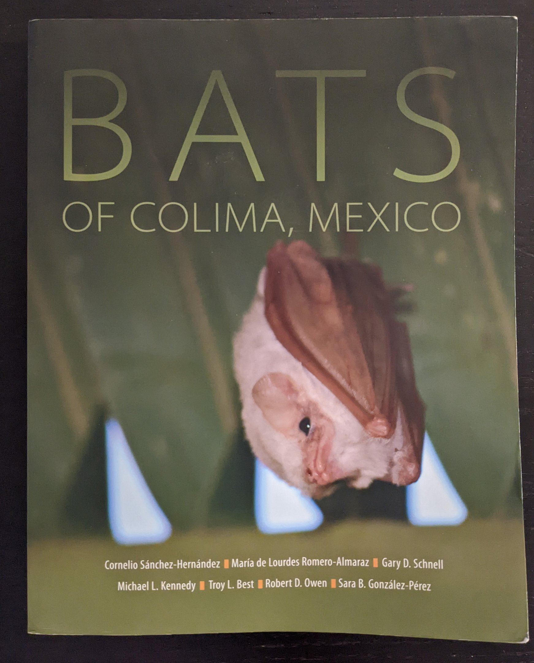 Bats of Colima, Mexico