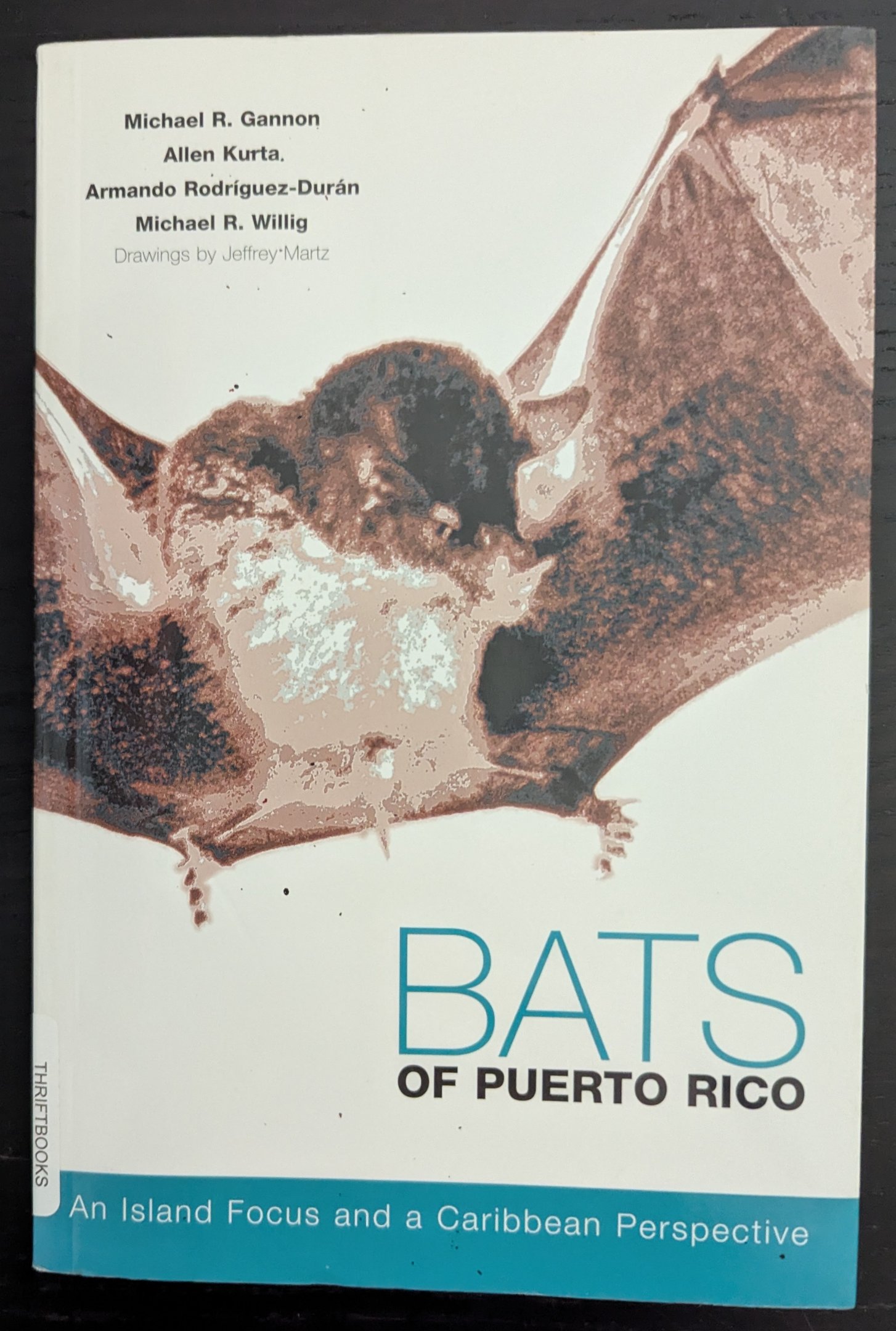 Bats of Puerto Rico: An Island Focus and a Caribbean Perspective