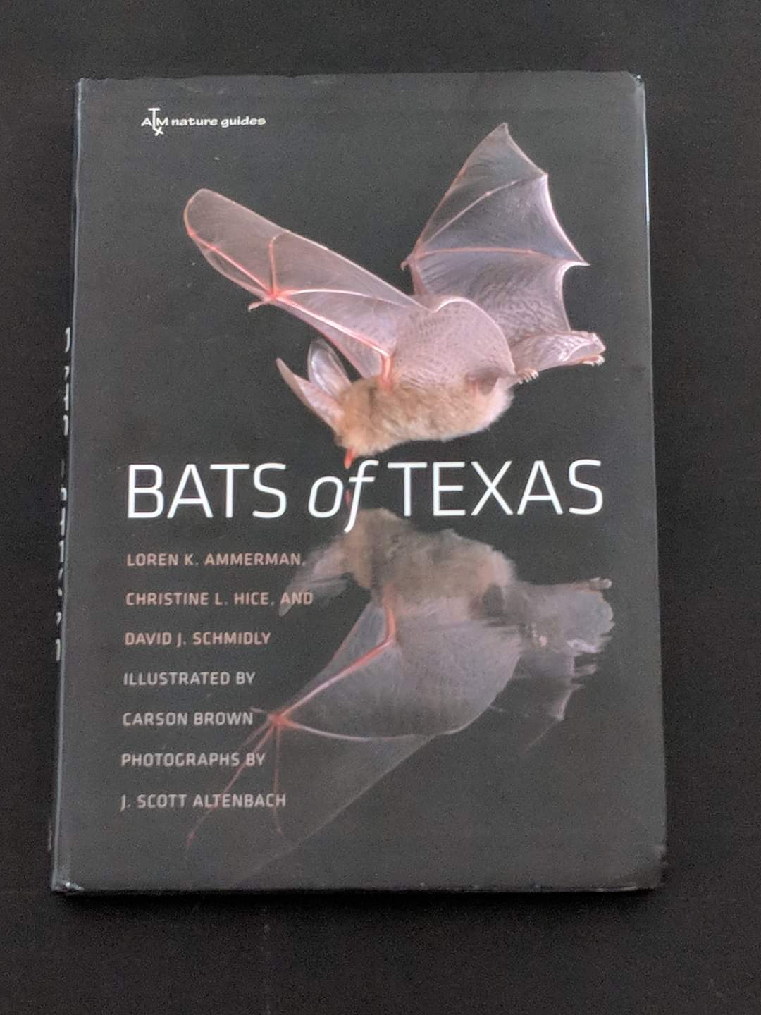 Bats of Texas