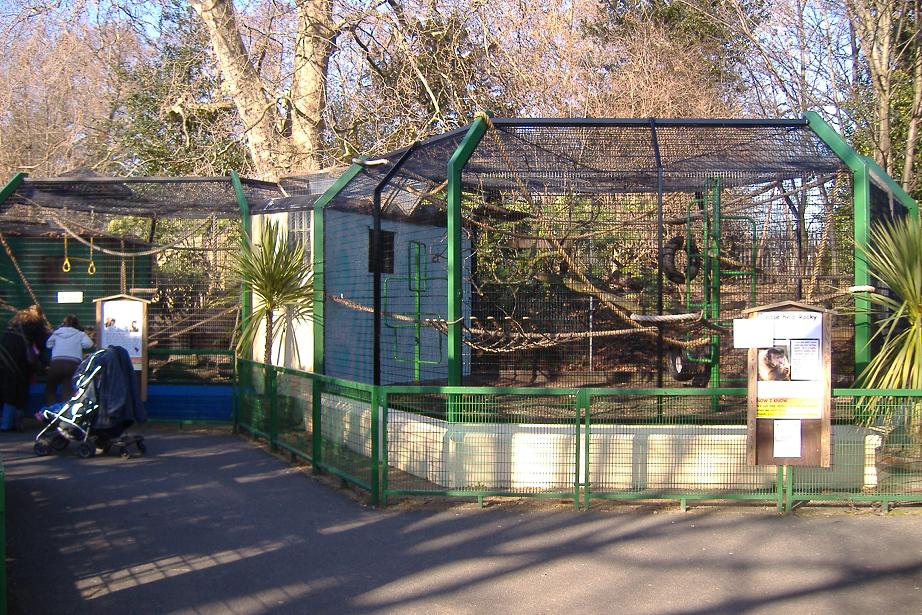 Battersea Park Capuchin cage