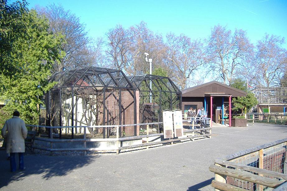 Battersea Park Mouse House and small primates