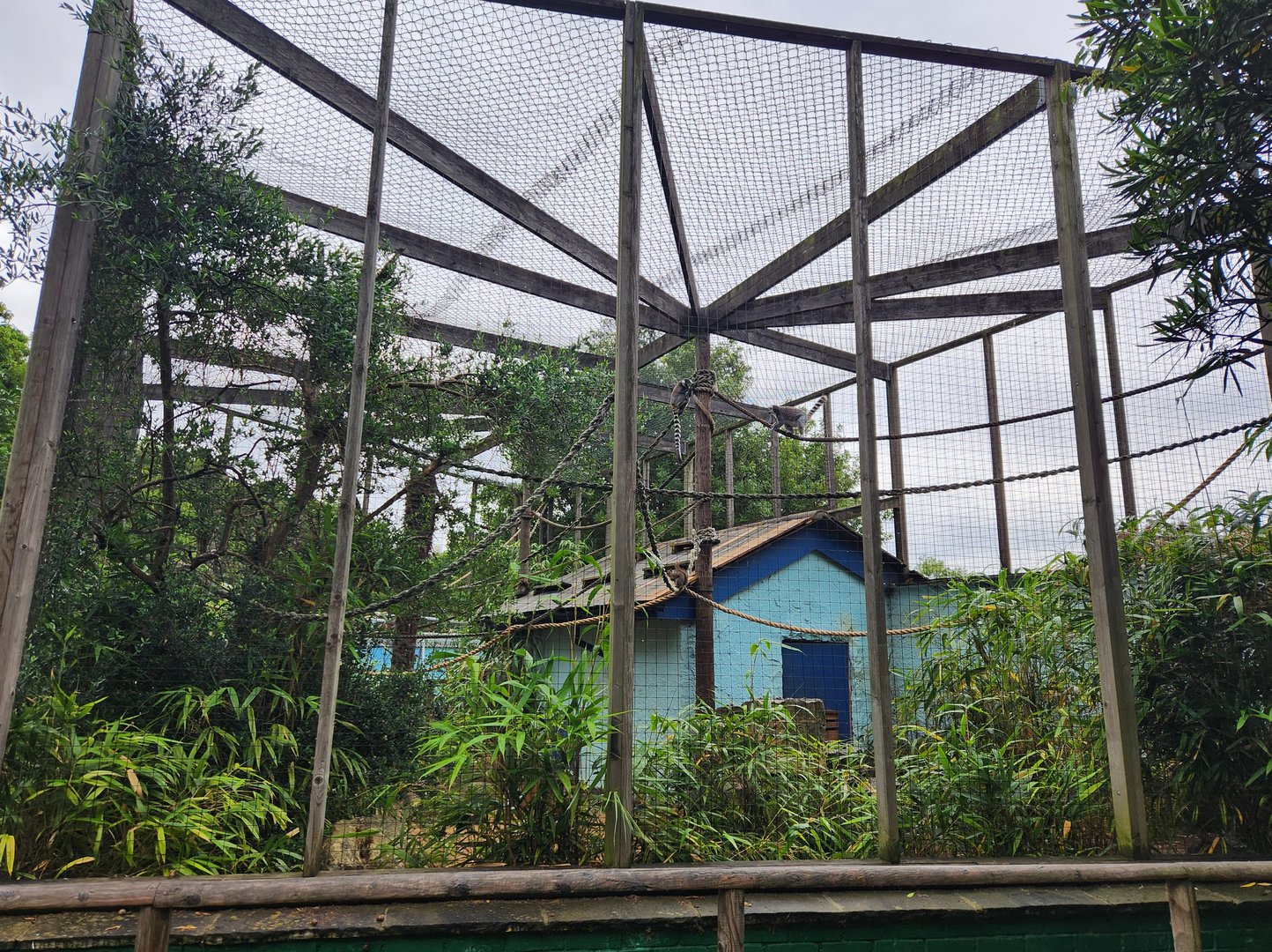 Battersea Zoo - Lemur enclosure