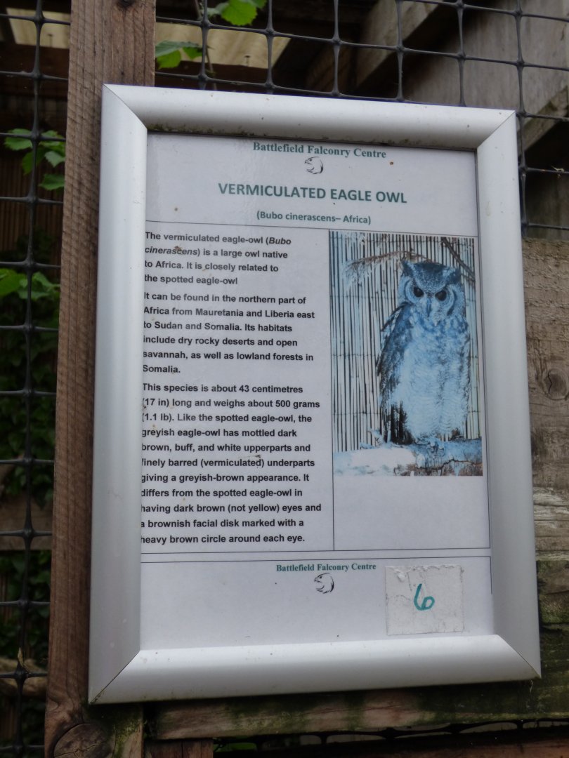 Battlefield Falconary Centre- Signage Style