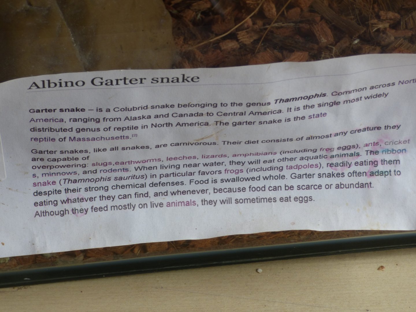 Battlefield Falconary Centre- Snake Signage